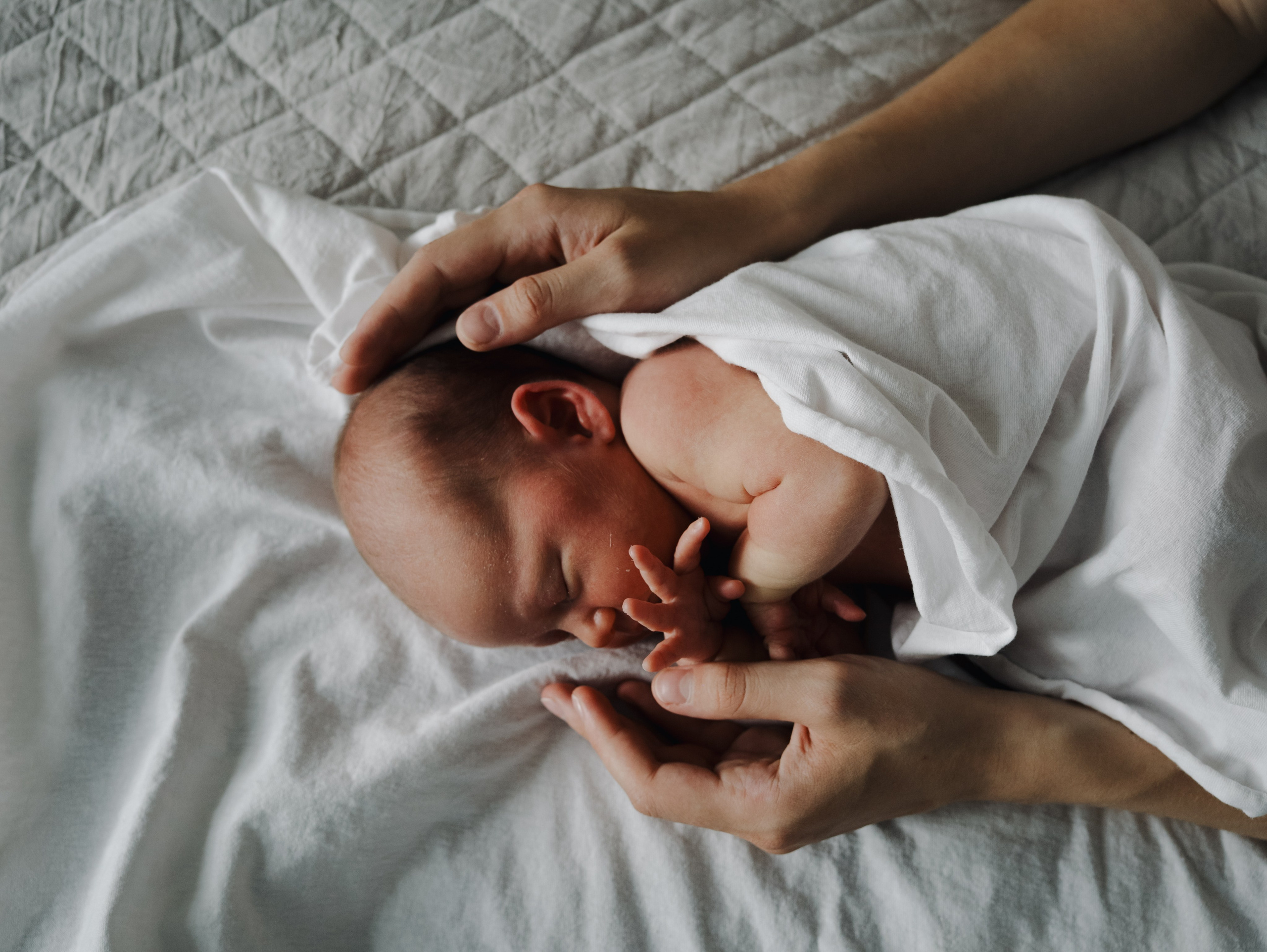 Пополнение. Алёна Стерхова — Предметный и портретный фотограф. Ижевск