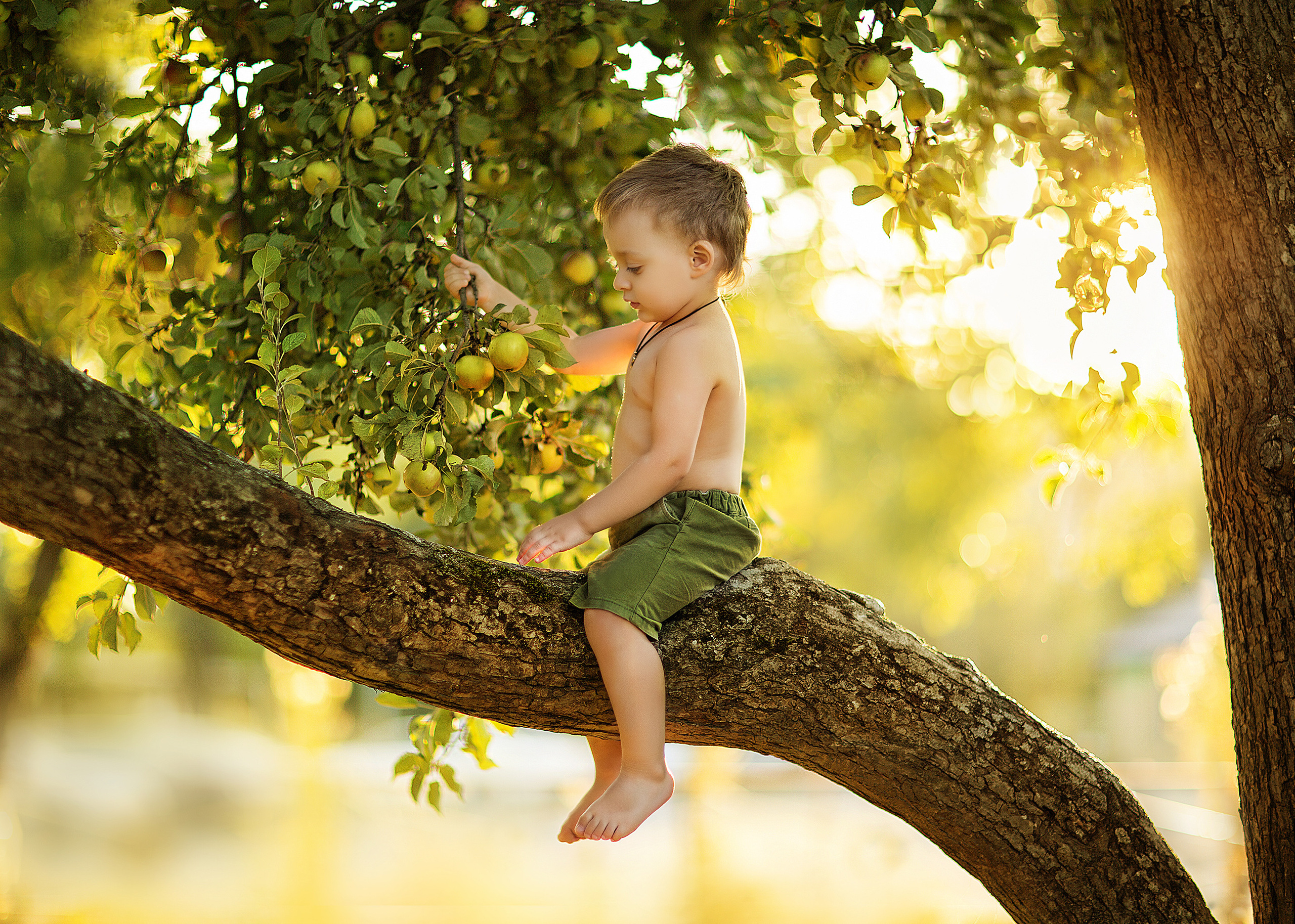 Дети. Детский и семейный фотограф Мадина в Краснодаре и Абхазии