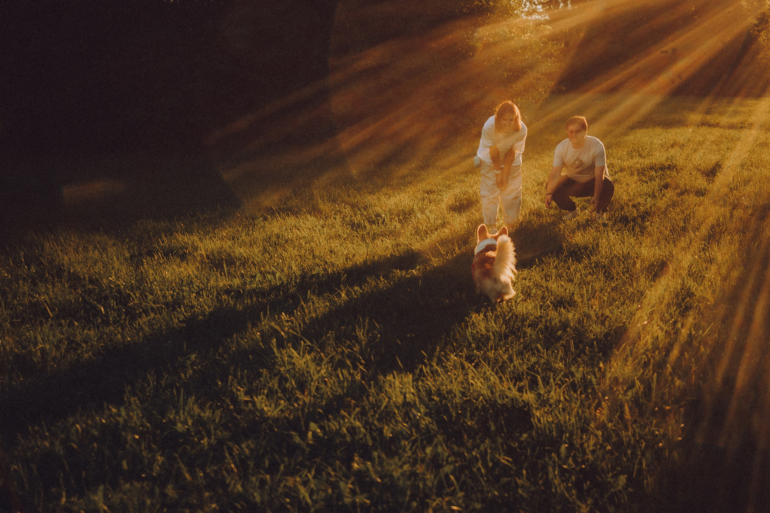 Вирджик и его семья