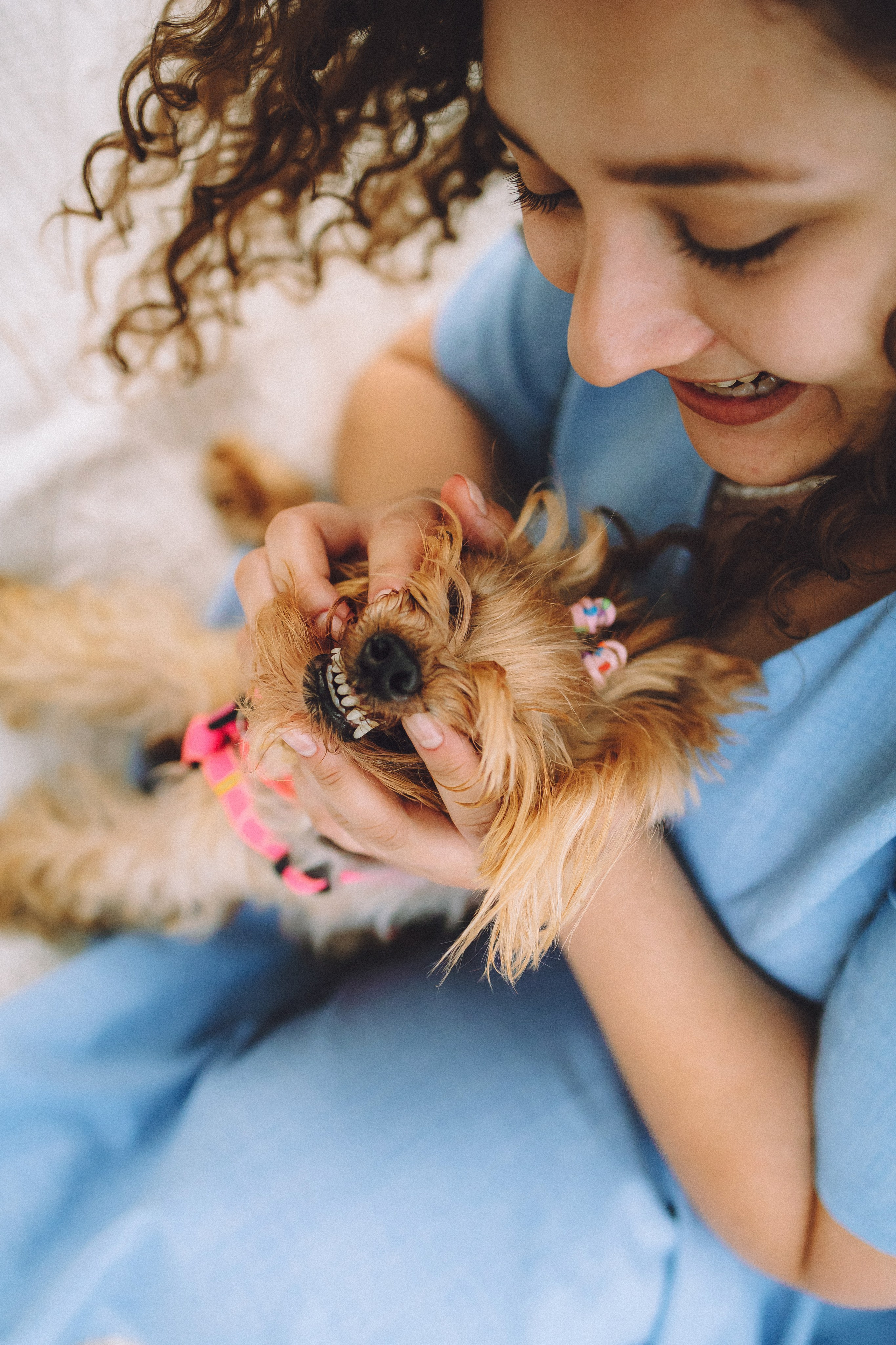 Даша и Дэзи