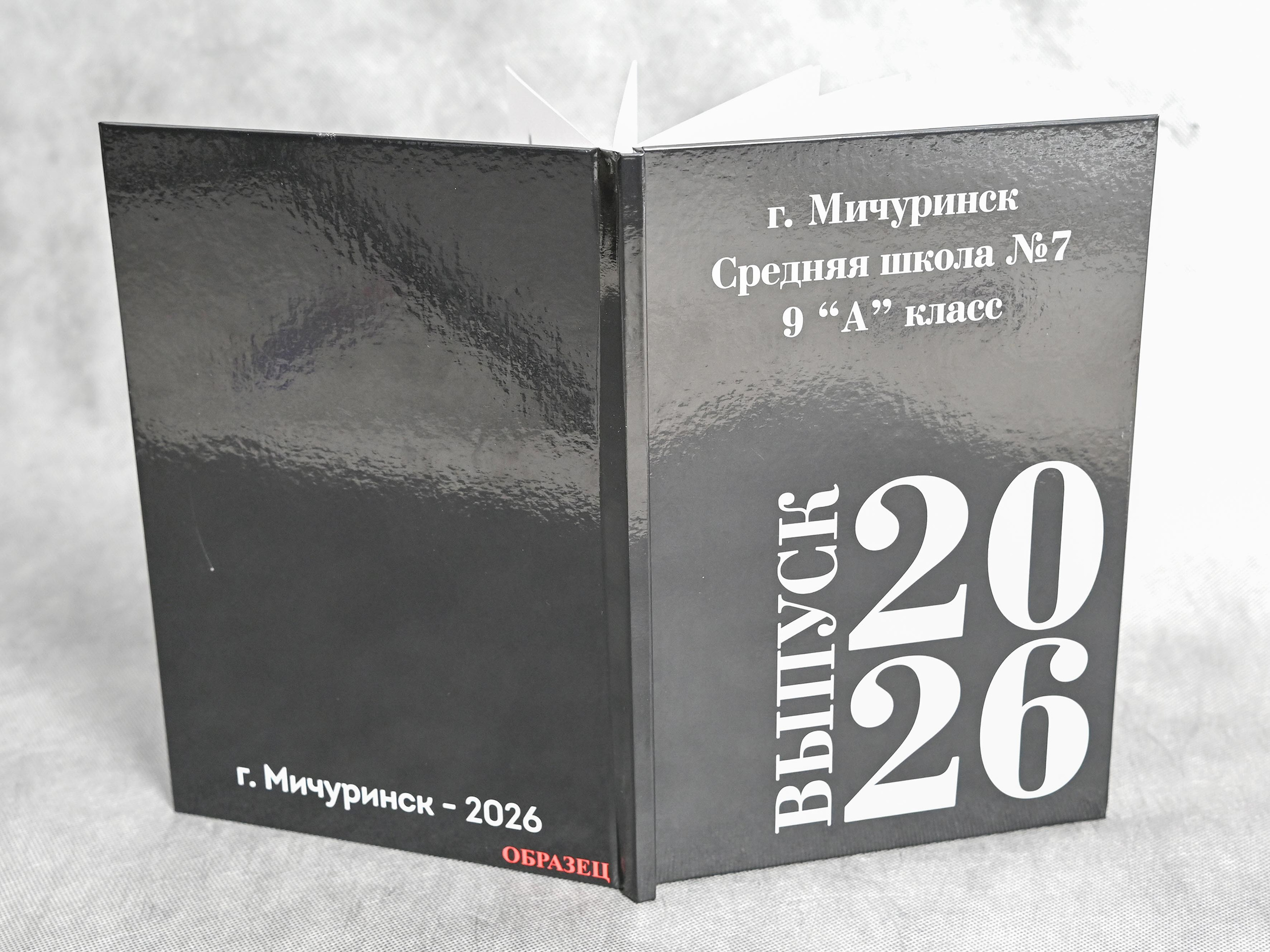 Книга с мягкими журнальными страницами 21×30см. Количество страниц — 32. Цена -3620р. Школьные фотоальбомы в Мичуринске