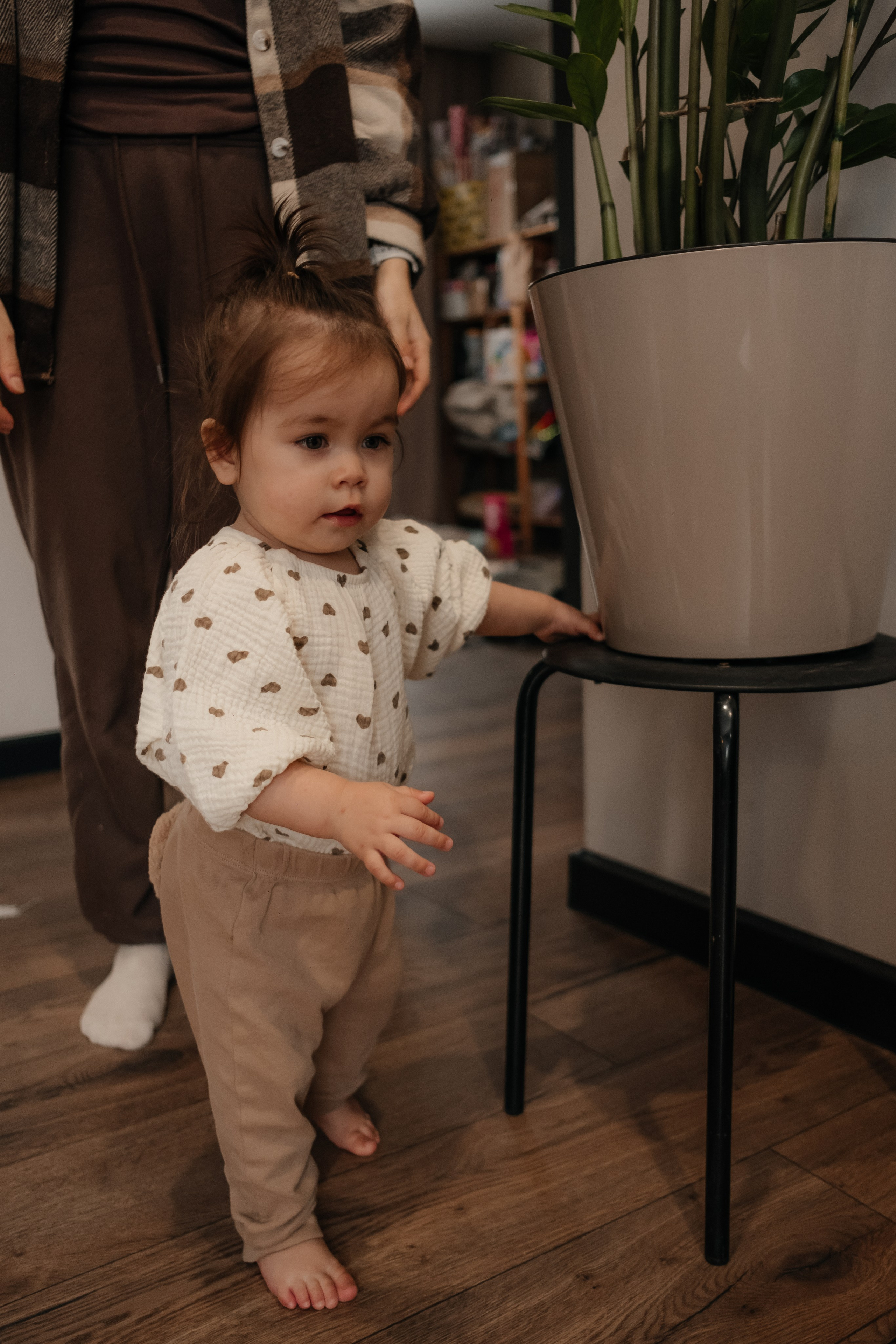 Катя, Саша и Еся | домашняя съемка. Фотограф в Новосибирске Диана Ильиных