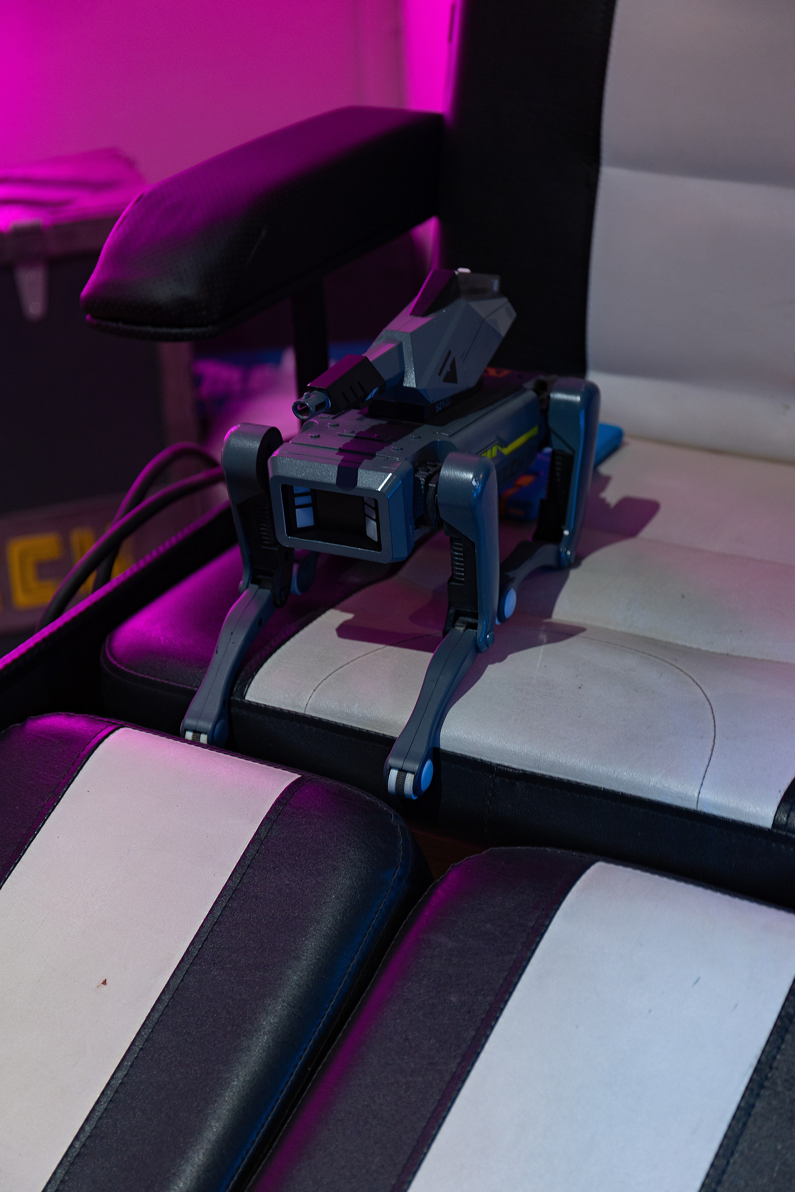 Столкон | Санкт-Петербург, 2025. Репортажный фотограф