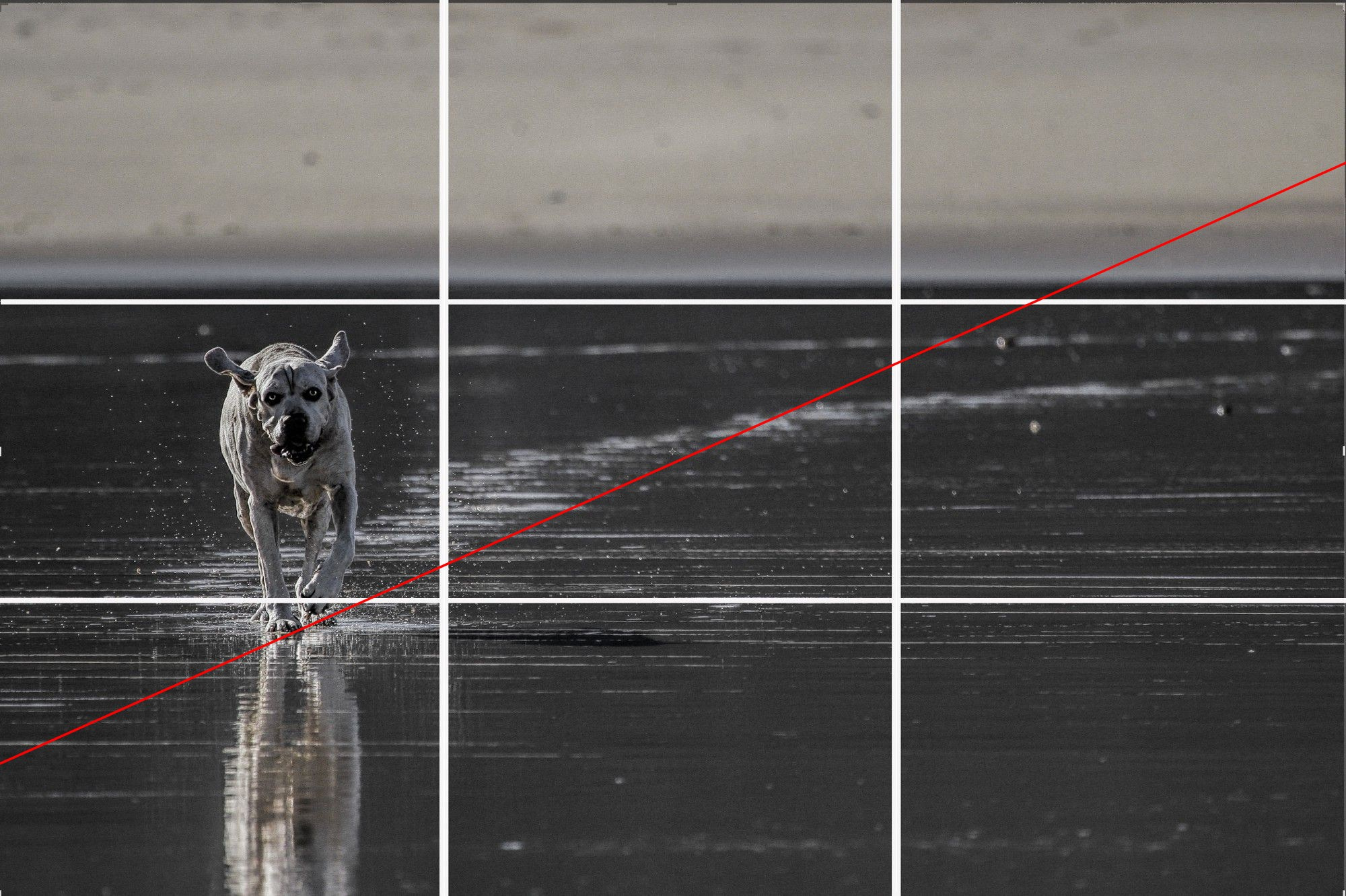 Композиция кадра. Семейный и свадебный фотограф в Майкопе Михаил Мартиросян