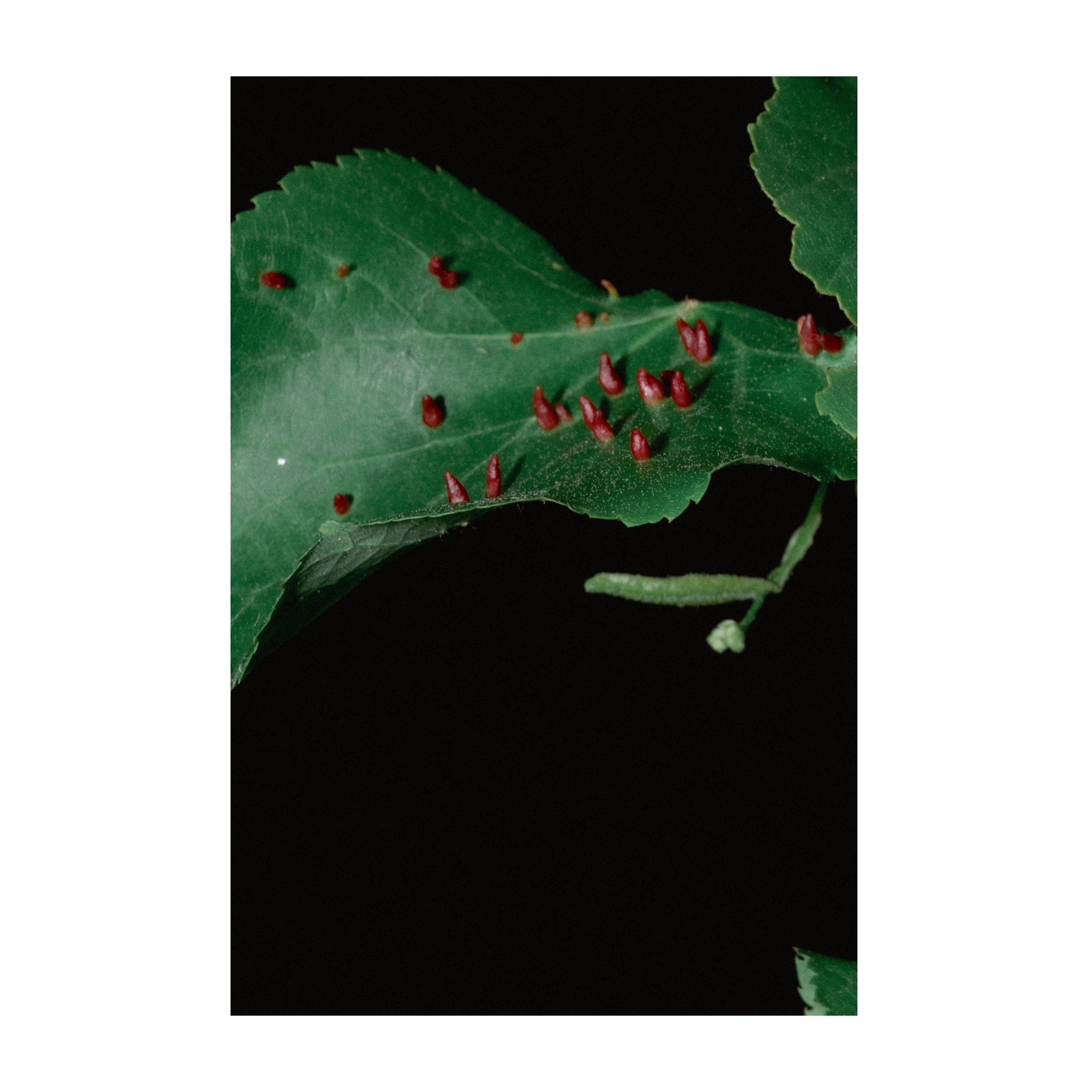 Творческие съемки. ТАТИ | Татьяна Тихонова | фотограф | Тольятти Самара