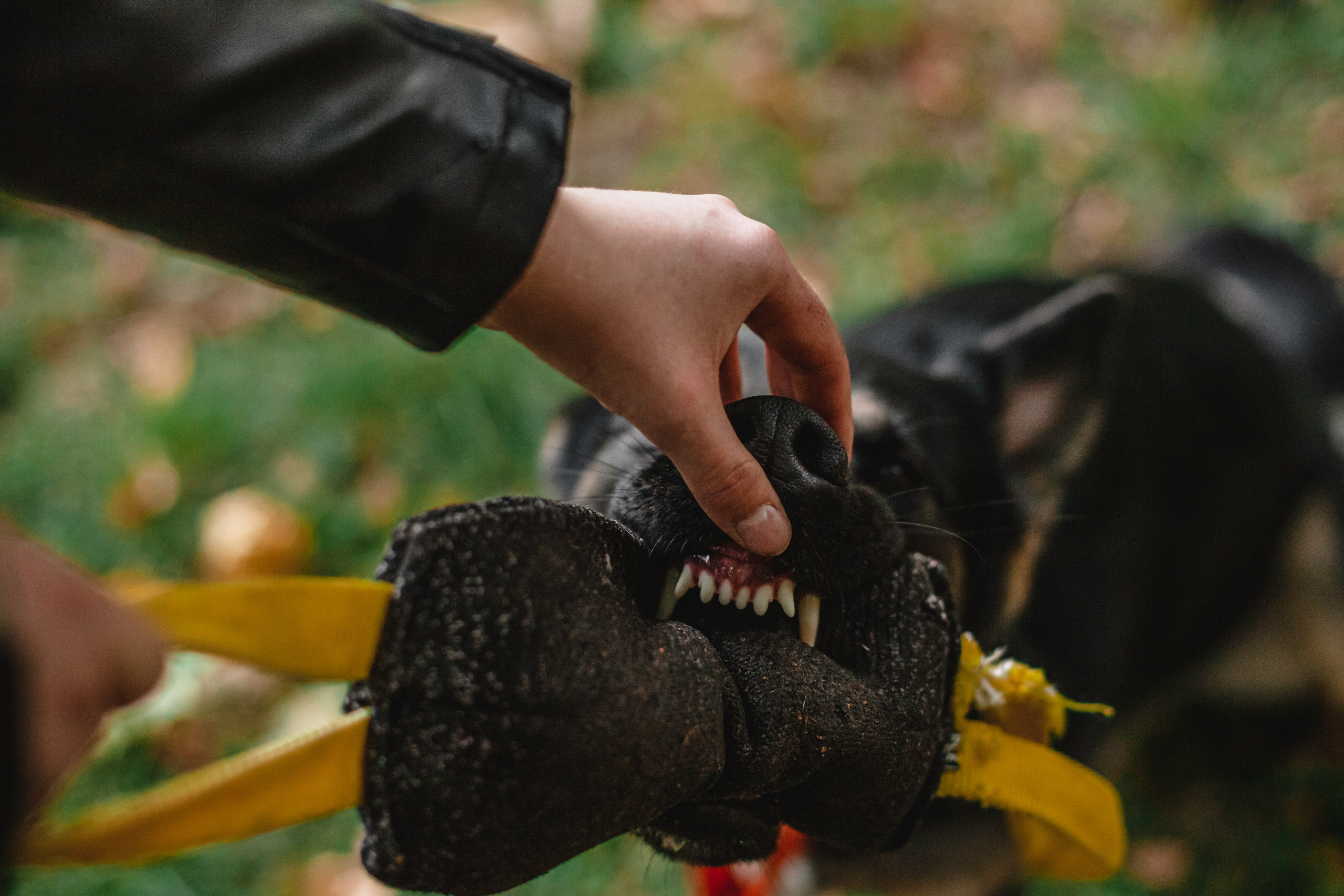 Илай. Фотограф-анималист Татьяна Степанова