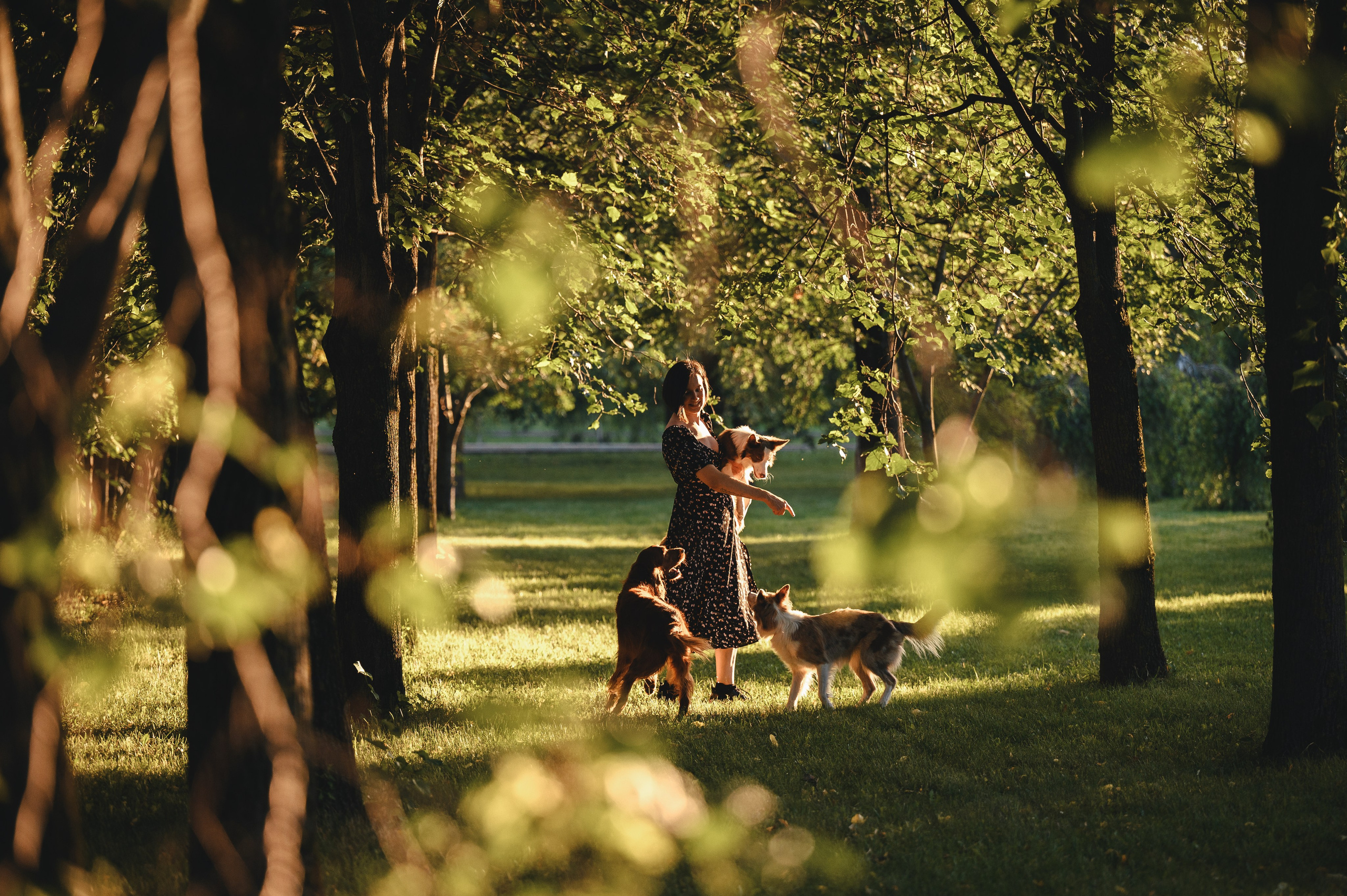 Маша, Лика, Нао и Рафта. Семейный фотограф анималист Ананьева Мария — Москва