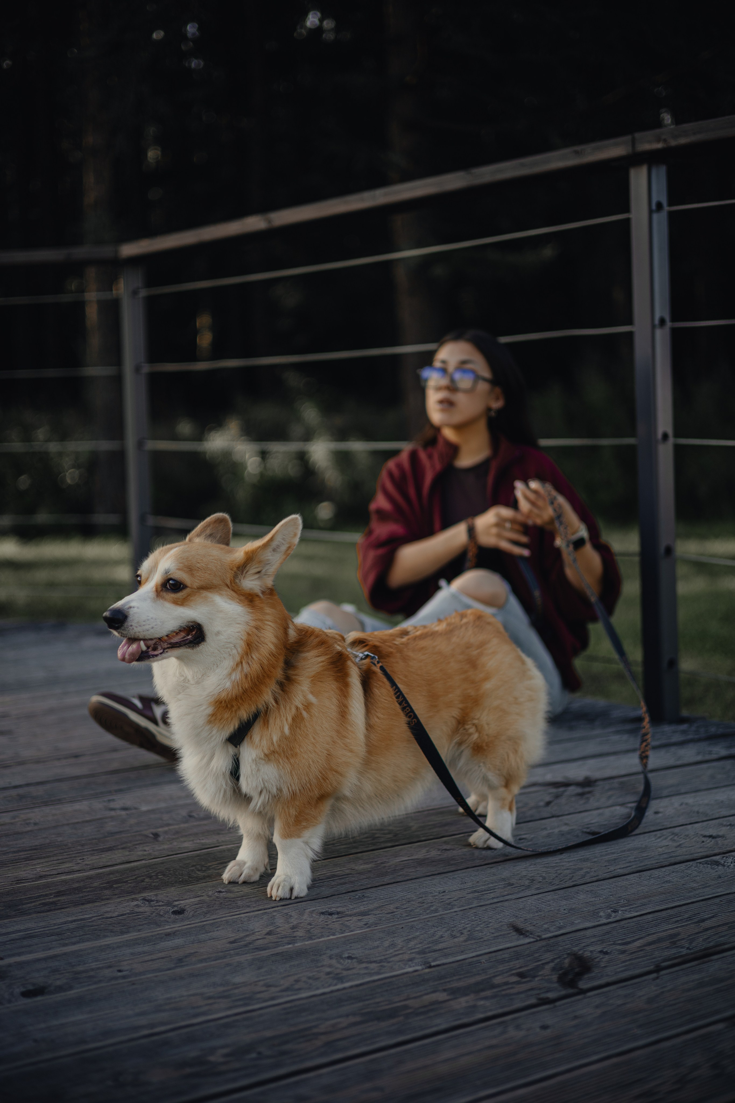 Мари & Йосик. Фотограф — анималист •love-story•|Санкт-Петербург