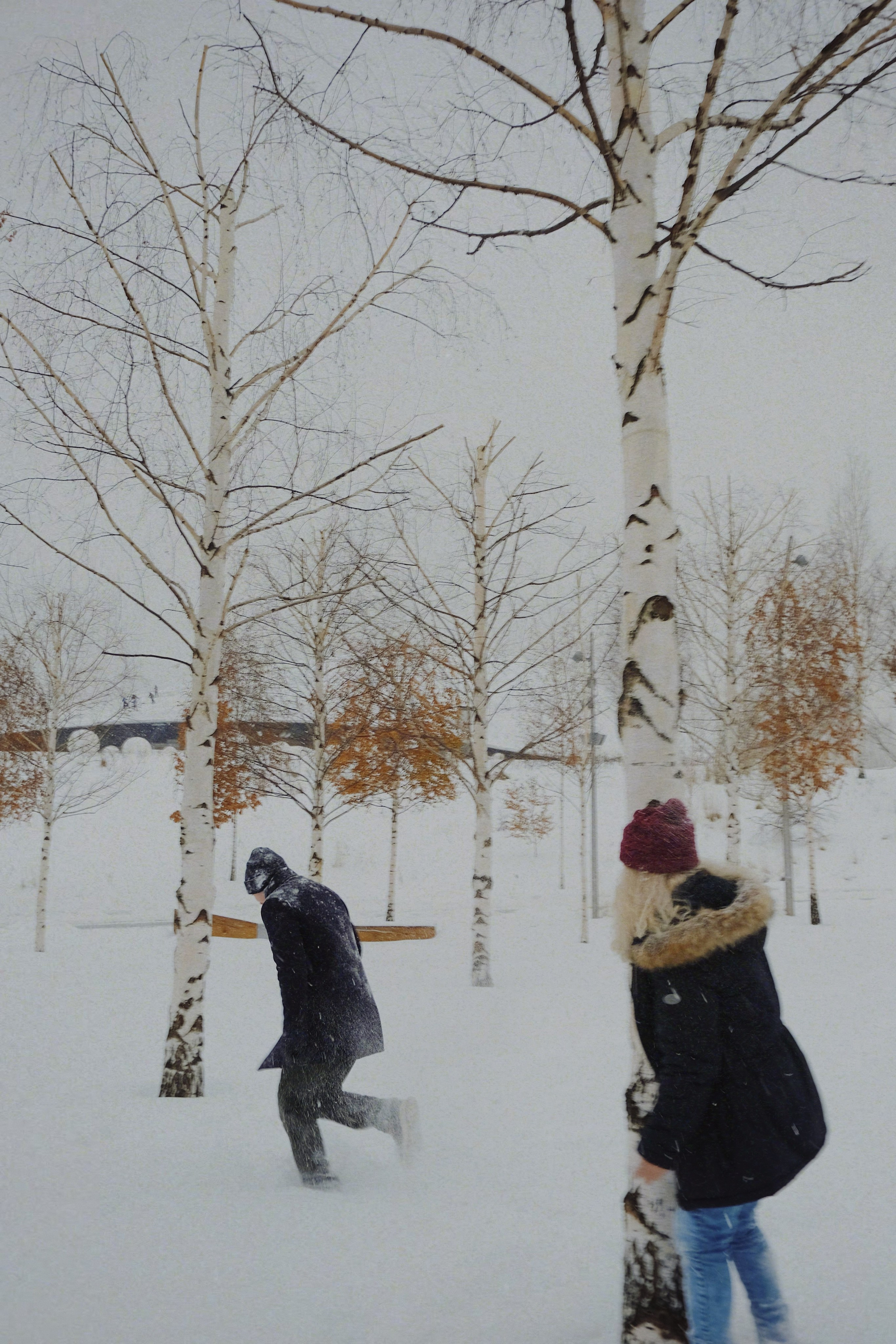 1+1. Татьян гертье