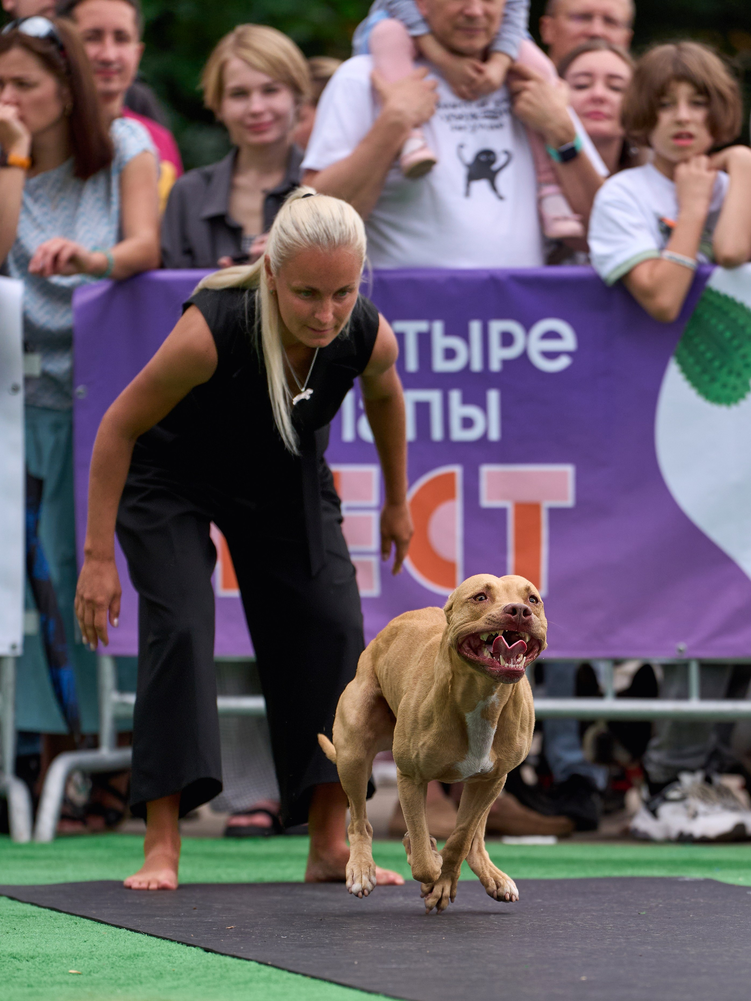 4 лапы Фест. Многоборье. Фотограф-анималист Михаил Манухин