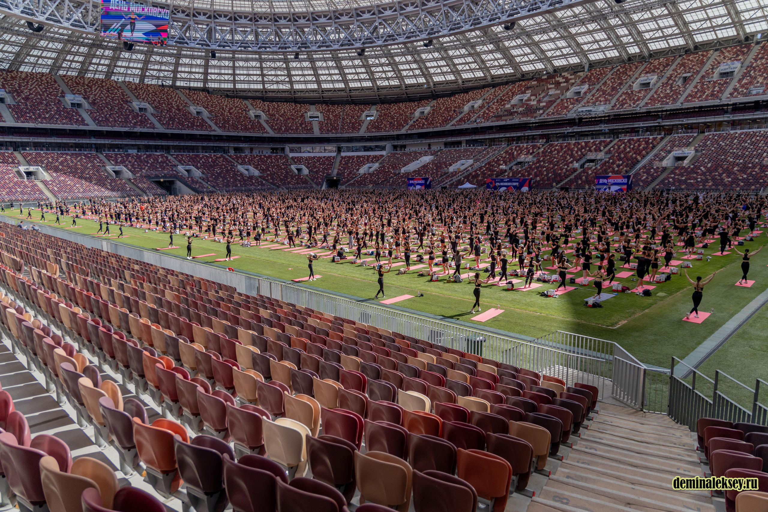 День Московского спорта в Лужниках 2024. Репортажный, семейный и студийный фотограф в Москве Демин Алексей