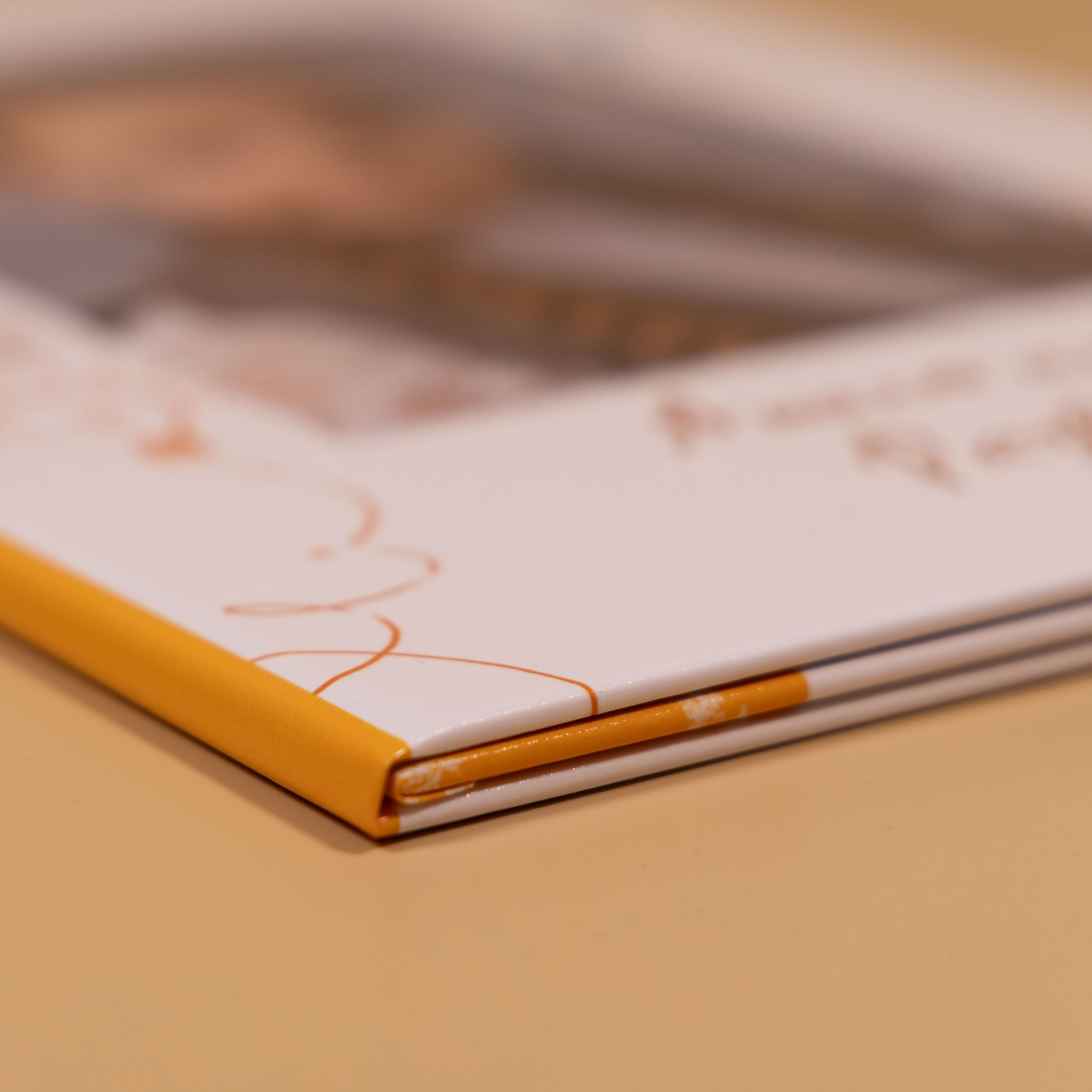 Папка «Трюмо» для 4 класса в Вологде