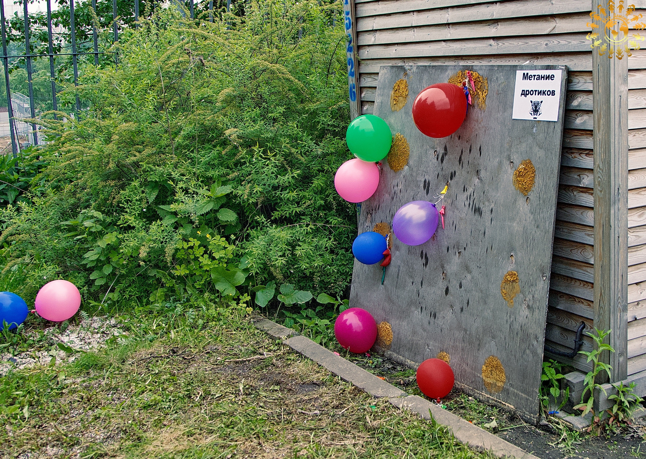 Выпускной 2023 (Школа 1195, 4-й класс). Репортажная съемка в Москве и области. Анималистика