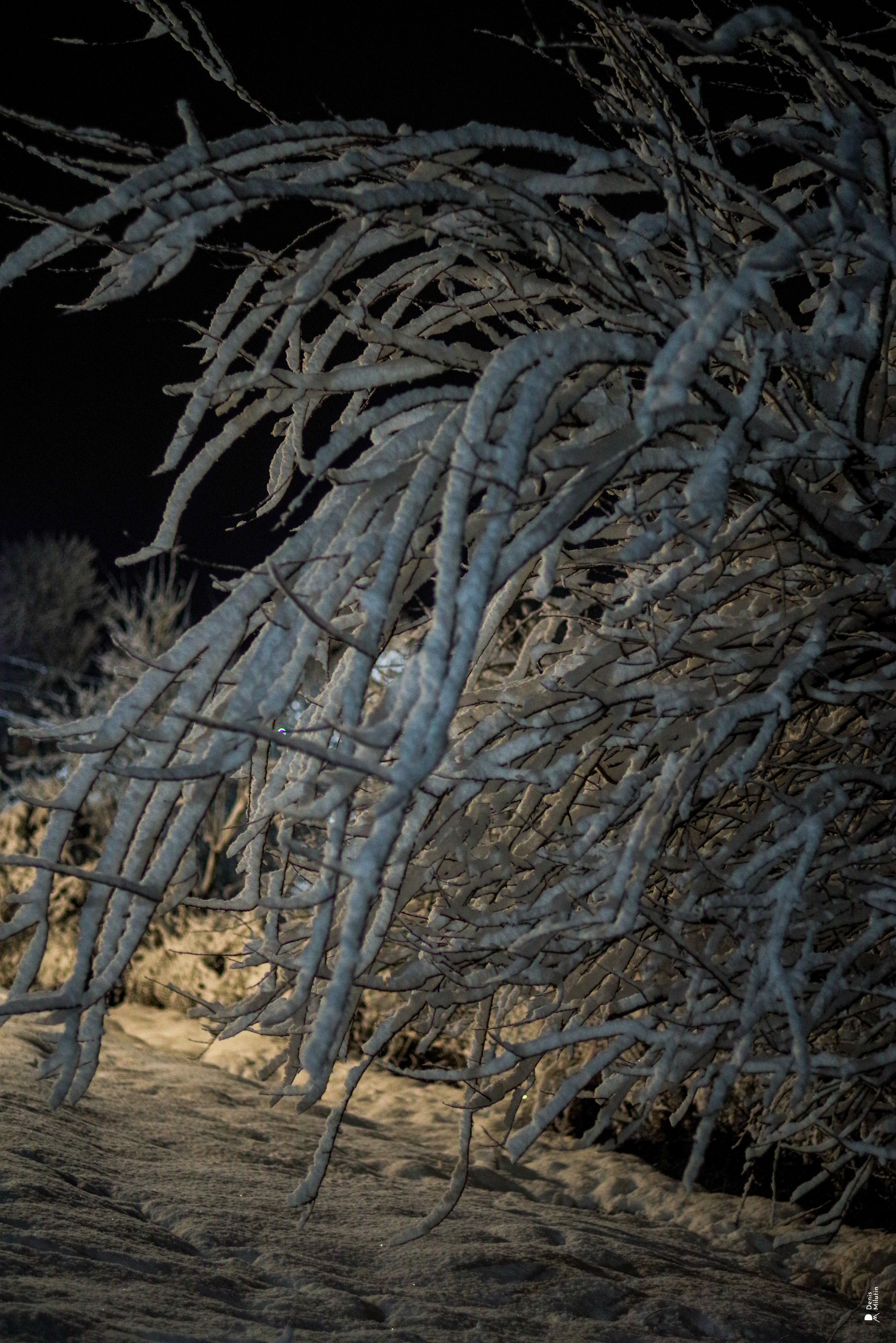 Ночь в Менджи. Портретный фотограф Денис Милютин