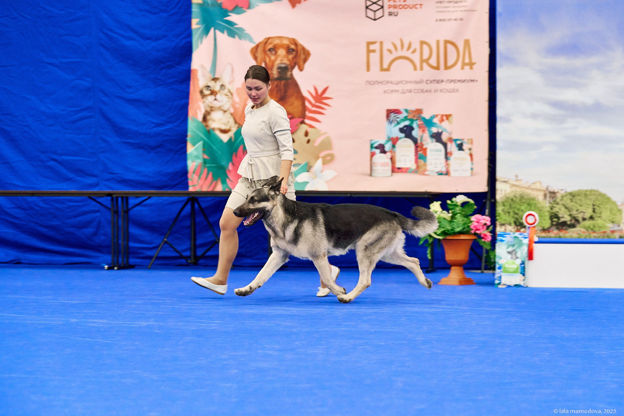 22-23 FEB 2025 | NATIONAL DOG SHOW «BALTIC TRIUMPH-2025»