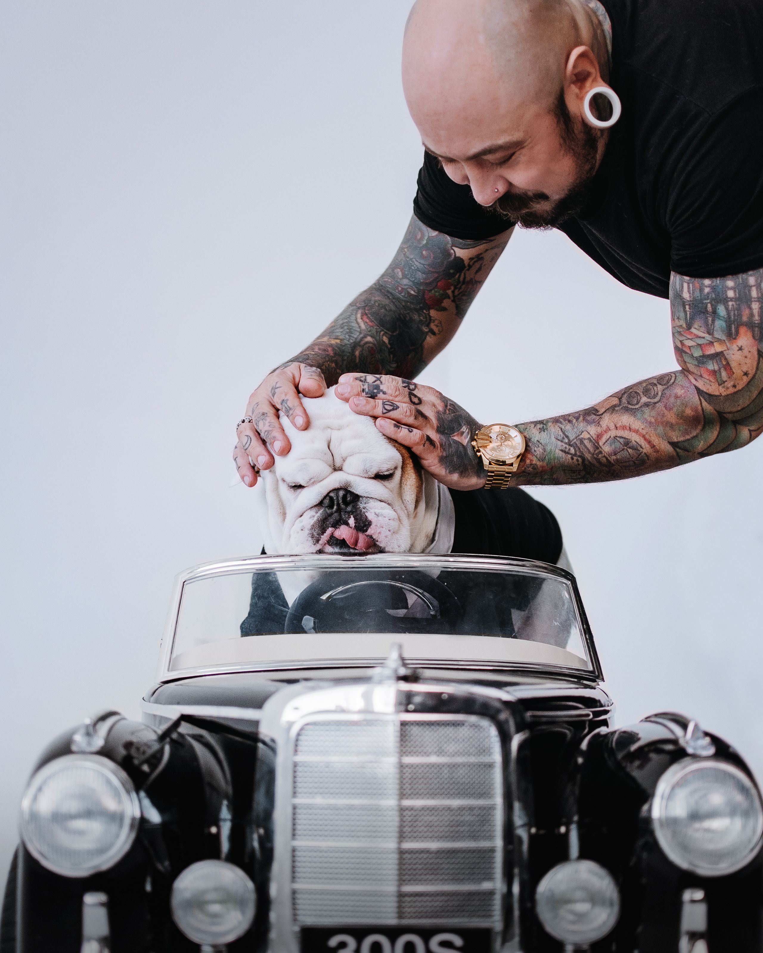 Студия: бульдог Бургер, бордосский дог Саша и Денис с Таней. Портфолио