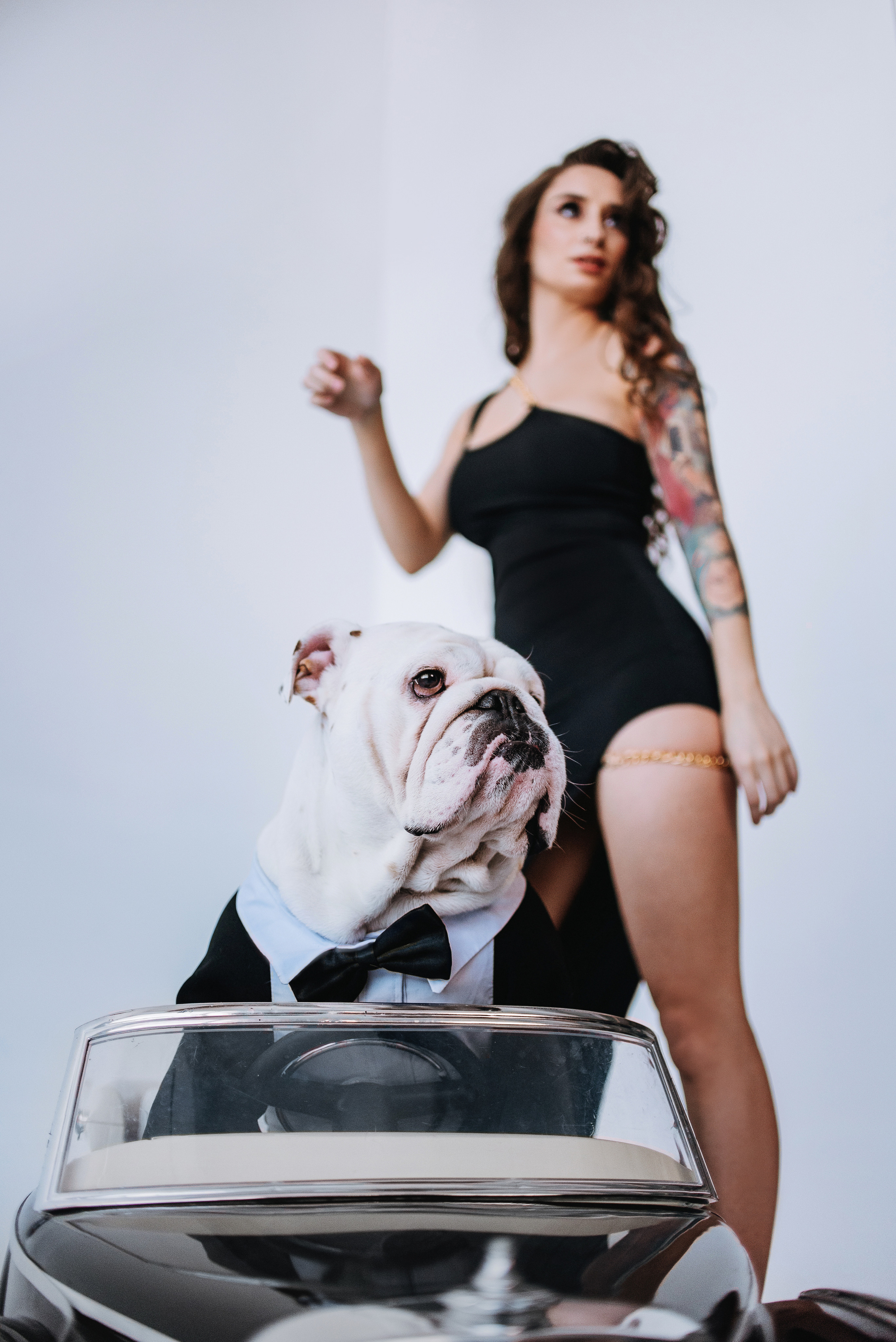 Студия: бульдог Бургер, бордосский дог Саша и Денис с Таней. Портфолио