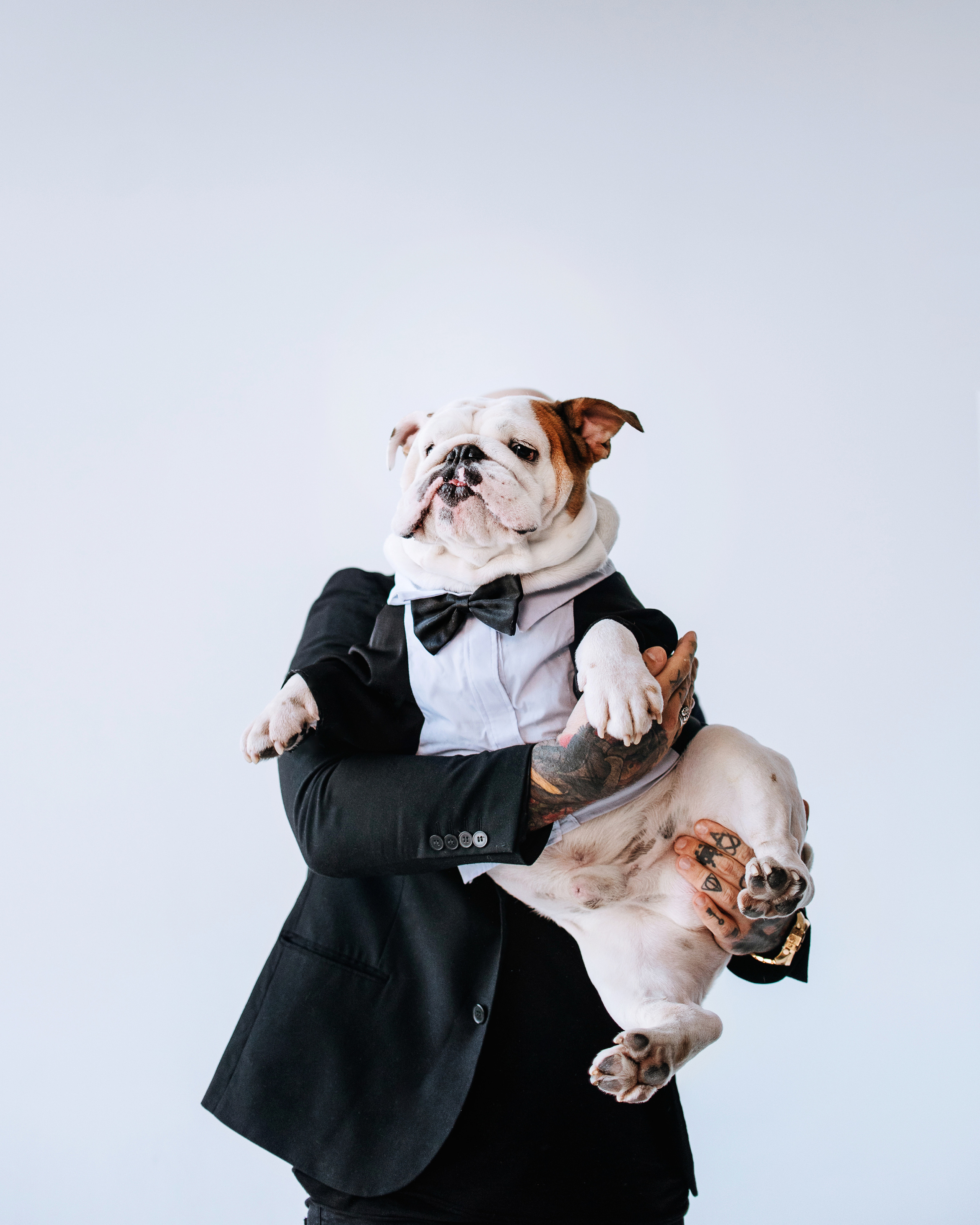 Студия: бульдог Бургер, бордосский дог Саша и Денис с Таней. Портфолио