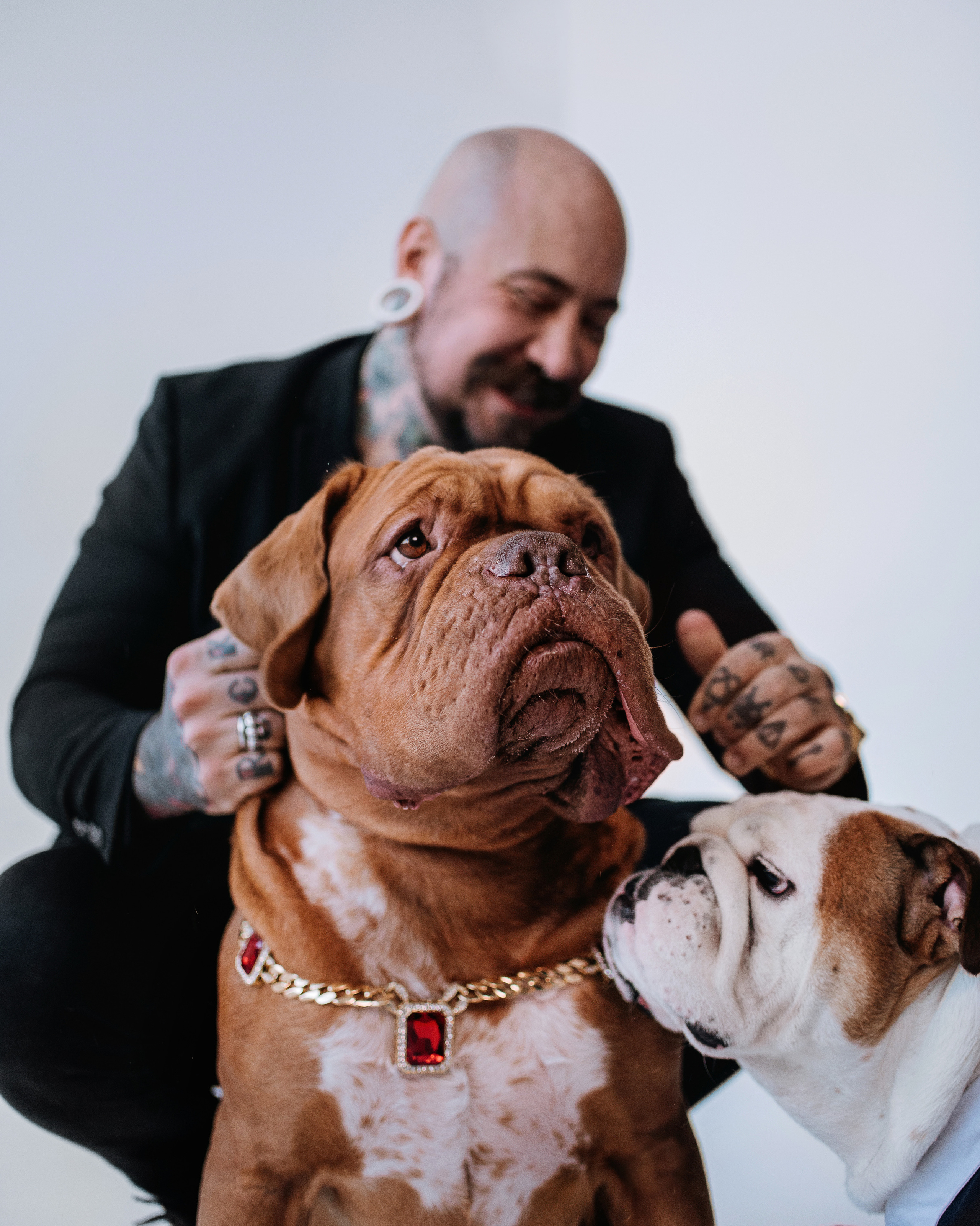 Студия: бульдог Бургер, бордосский дог Саша и Денис с Таней. Портфолио