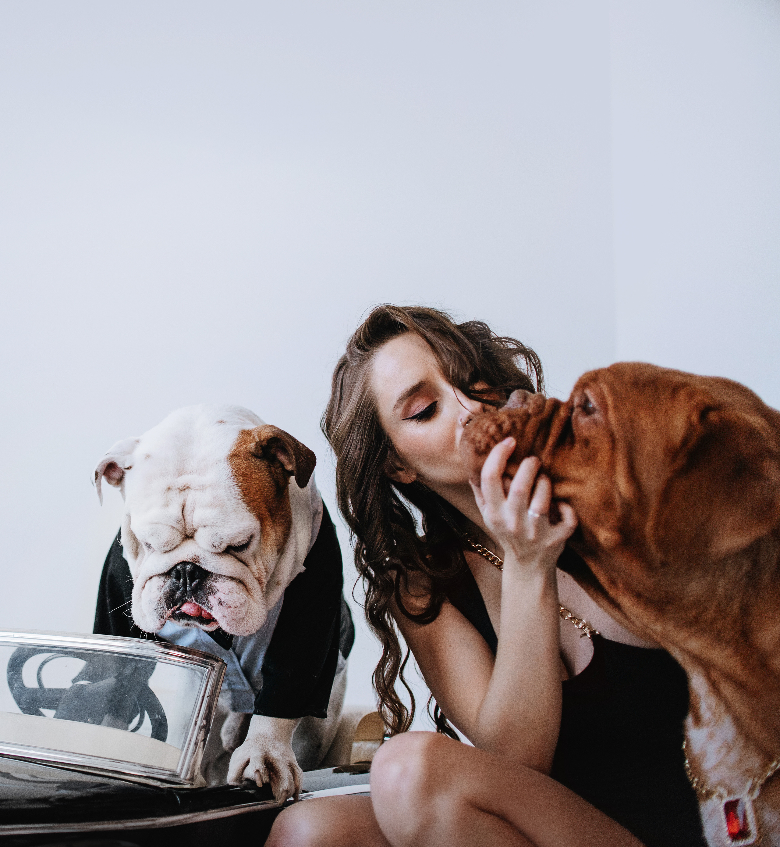 Студия: бульдог Бургер, бордосский дог Саша и Денис с Таней. Портфолио