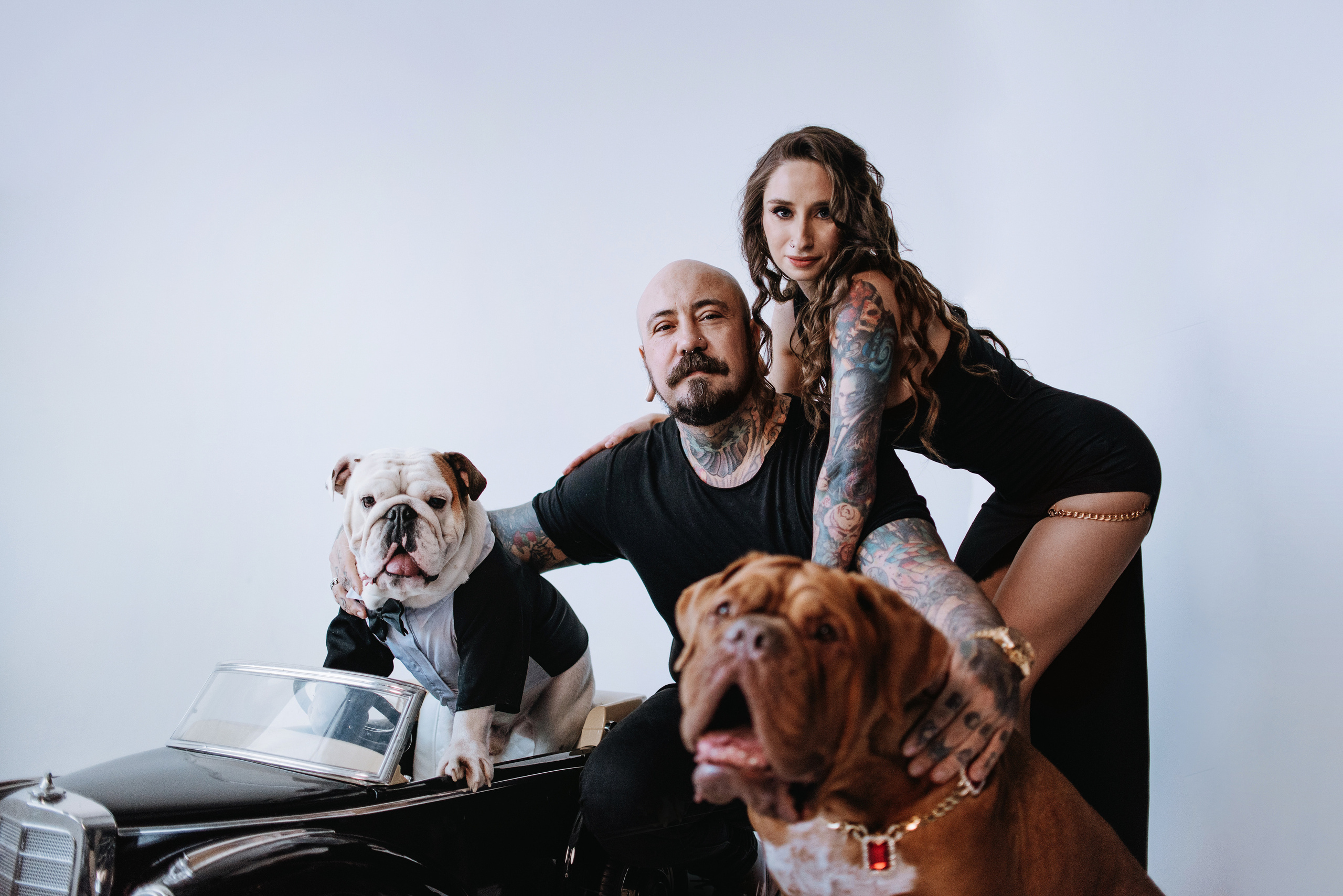 Студия: бульдог Бургер, бордосский дог Саша и Денис с Таней. Портфолио