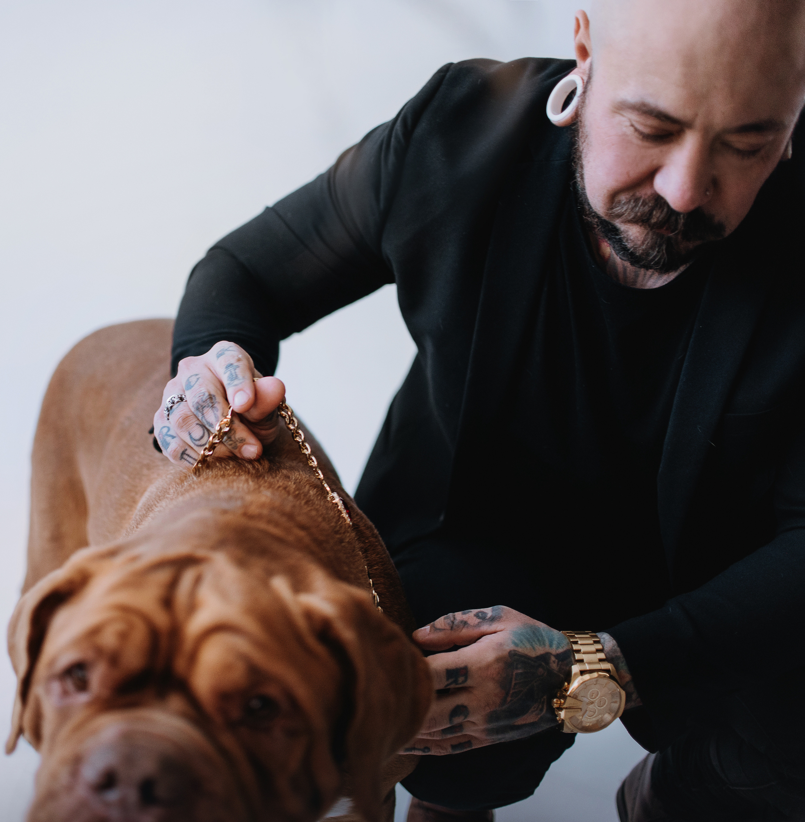 Студия: бульдог Бургер, бордосский дог Саша и Денис с Таней. Портфолио