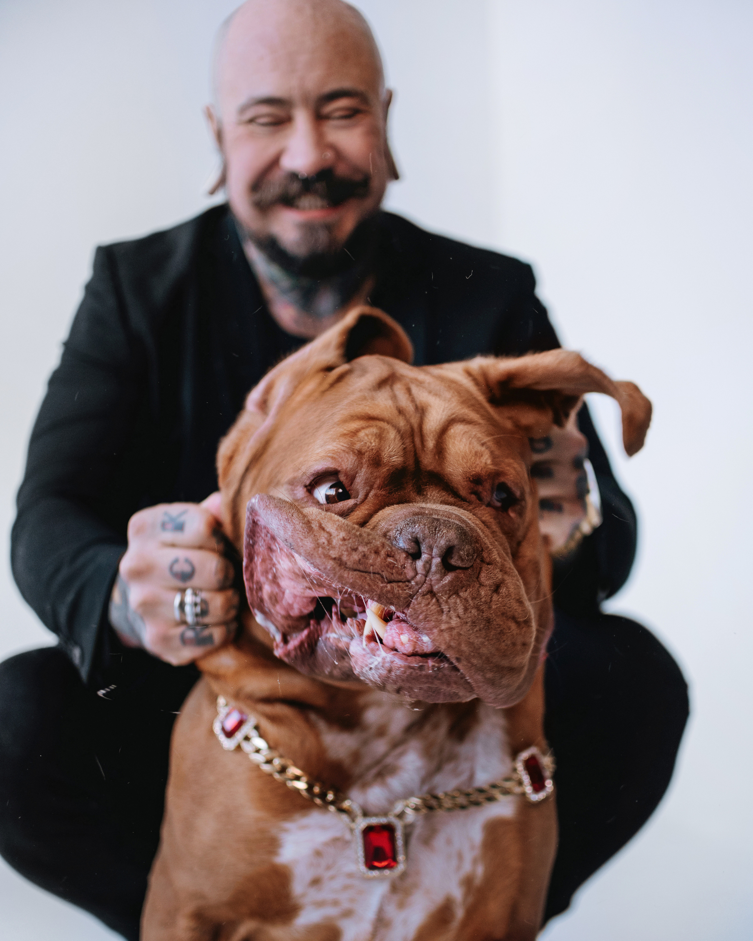 Студия: бульдог Бургер, бордосский дог Саша и Денис с Таней. Портфолио