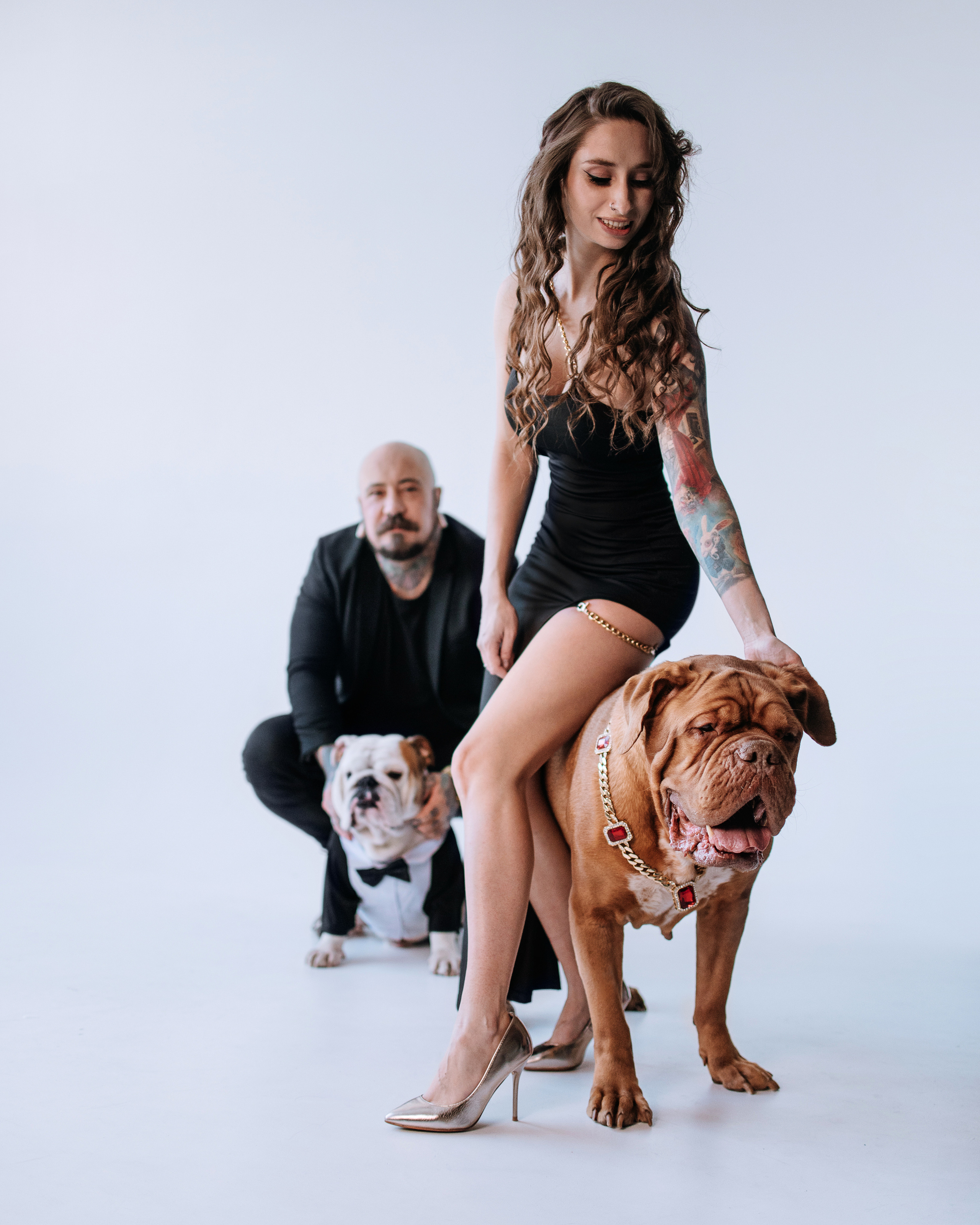 Студия: бульдог Бургер, бордосский дог Саша и Денис с Таней. Портфолио