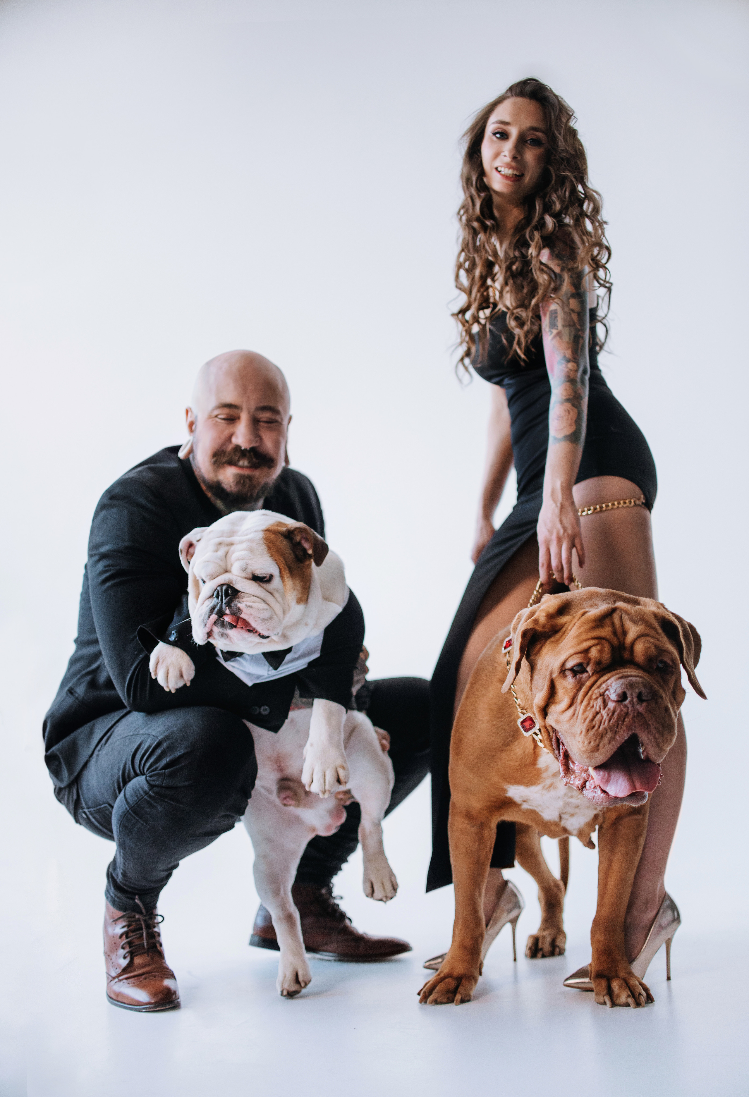 Студия: бульдог Бургер, бордосский дог Саша и Денис с Таней. Портфолио