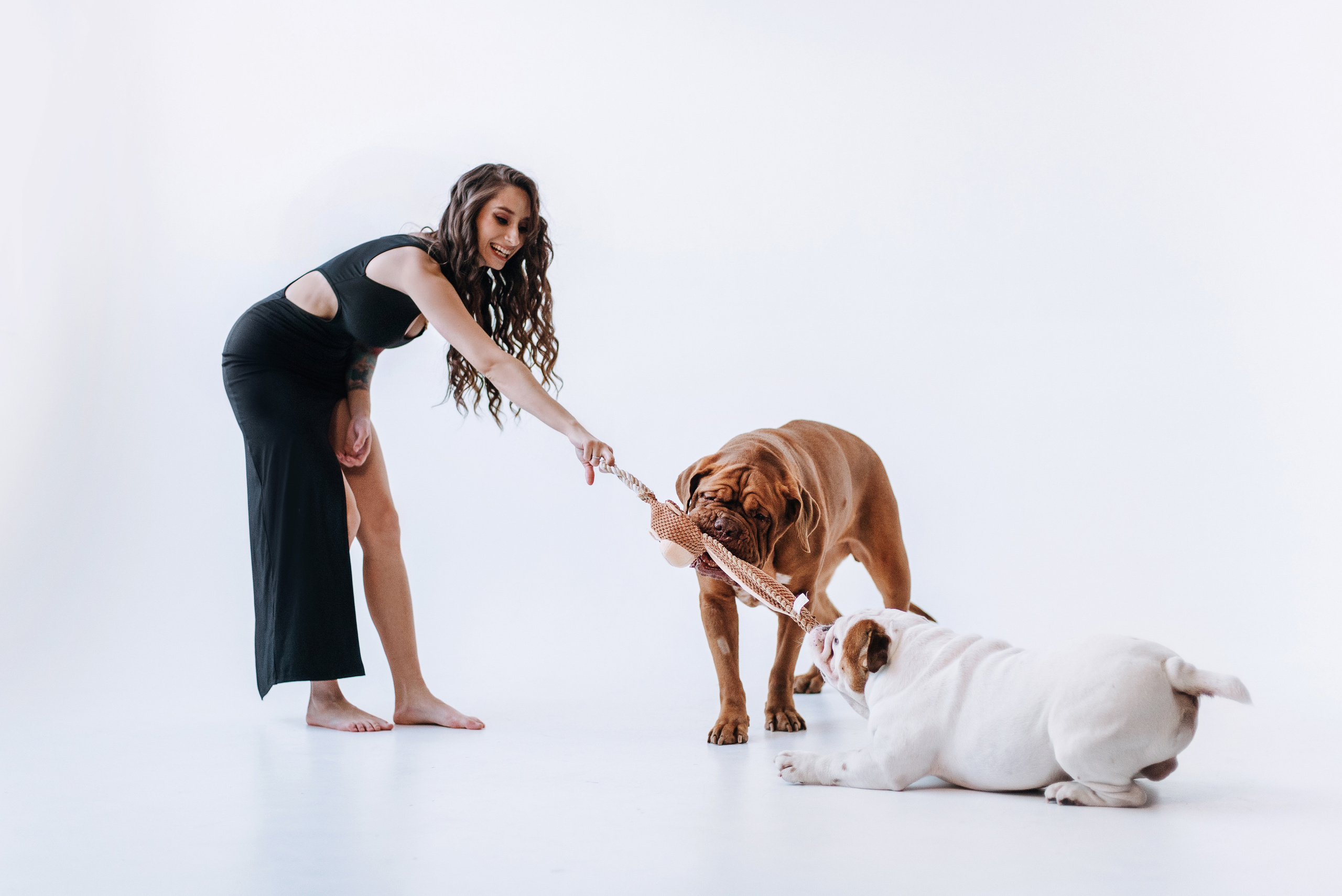 Студия: бульдог Бургер, бордосский дог Саша и Денис с Таней. Портфолио