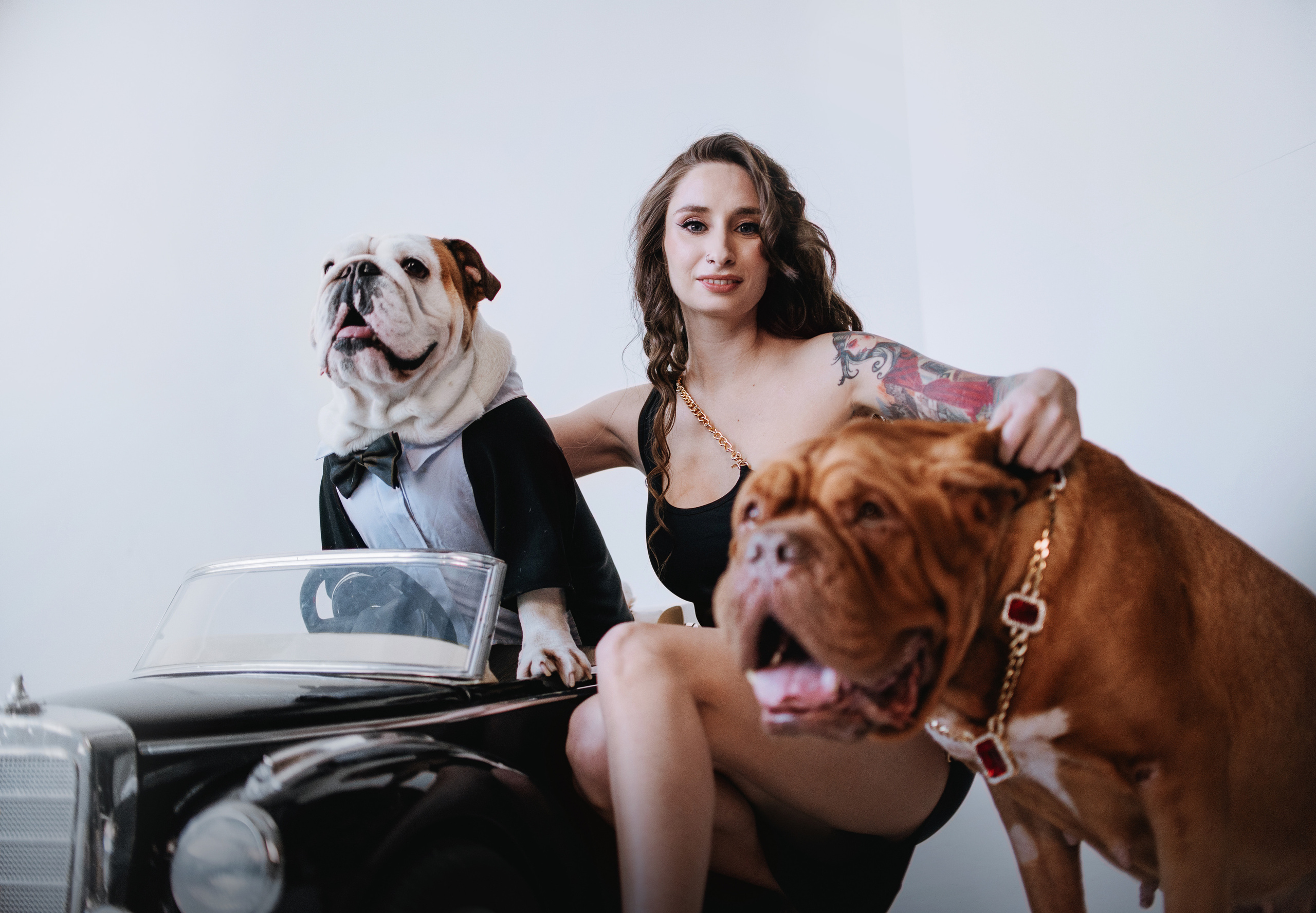 Студия: бульдог Бургер, бордосский дог Саша и Денис с Таней. Портфолио