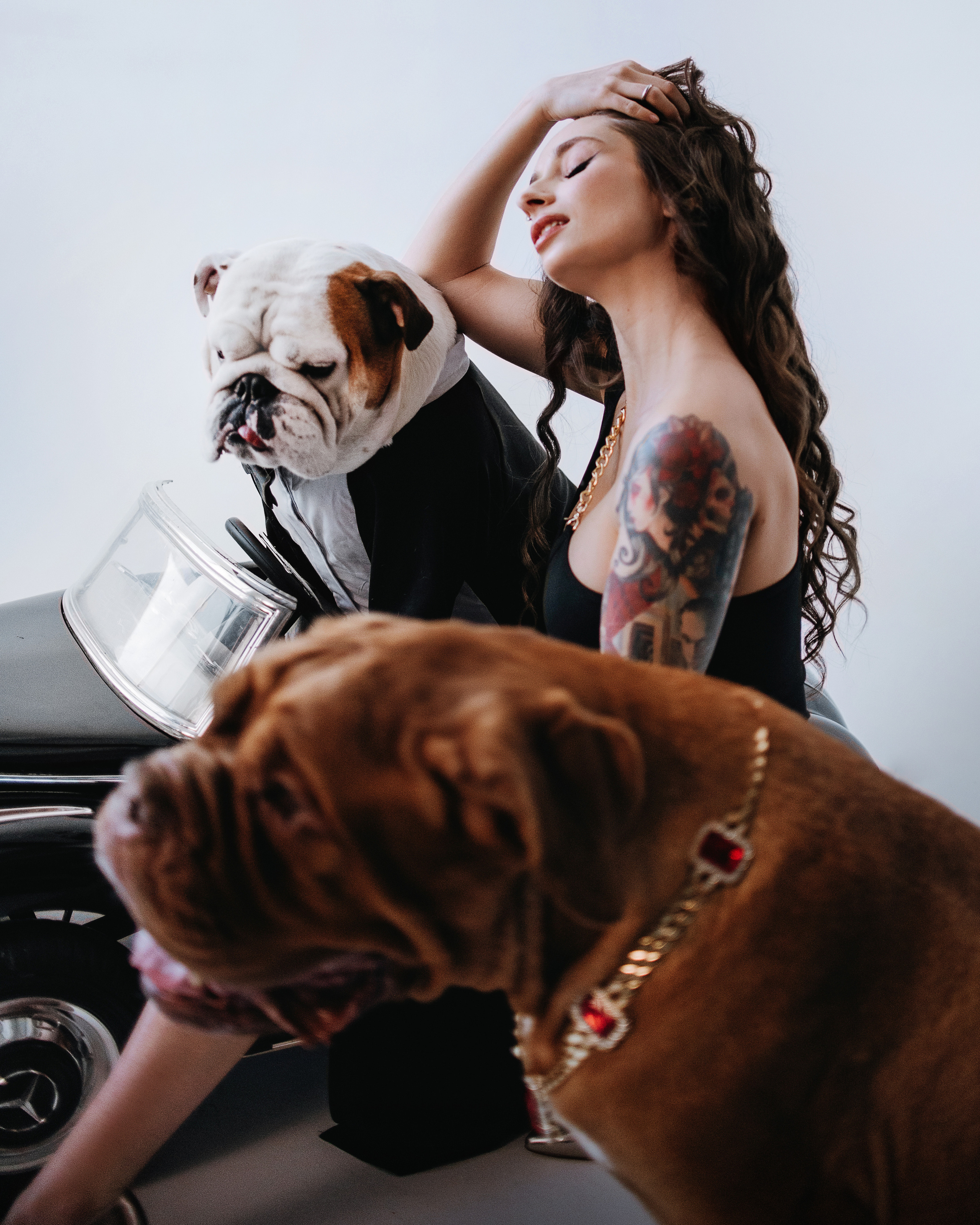 Студия: бульдог Бургер, бордосский дог Саша и Денис с Таней. Портфолио