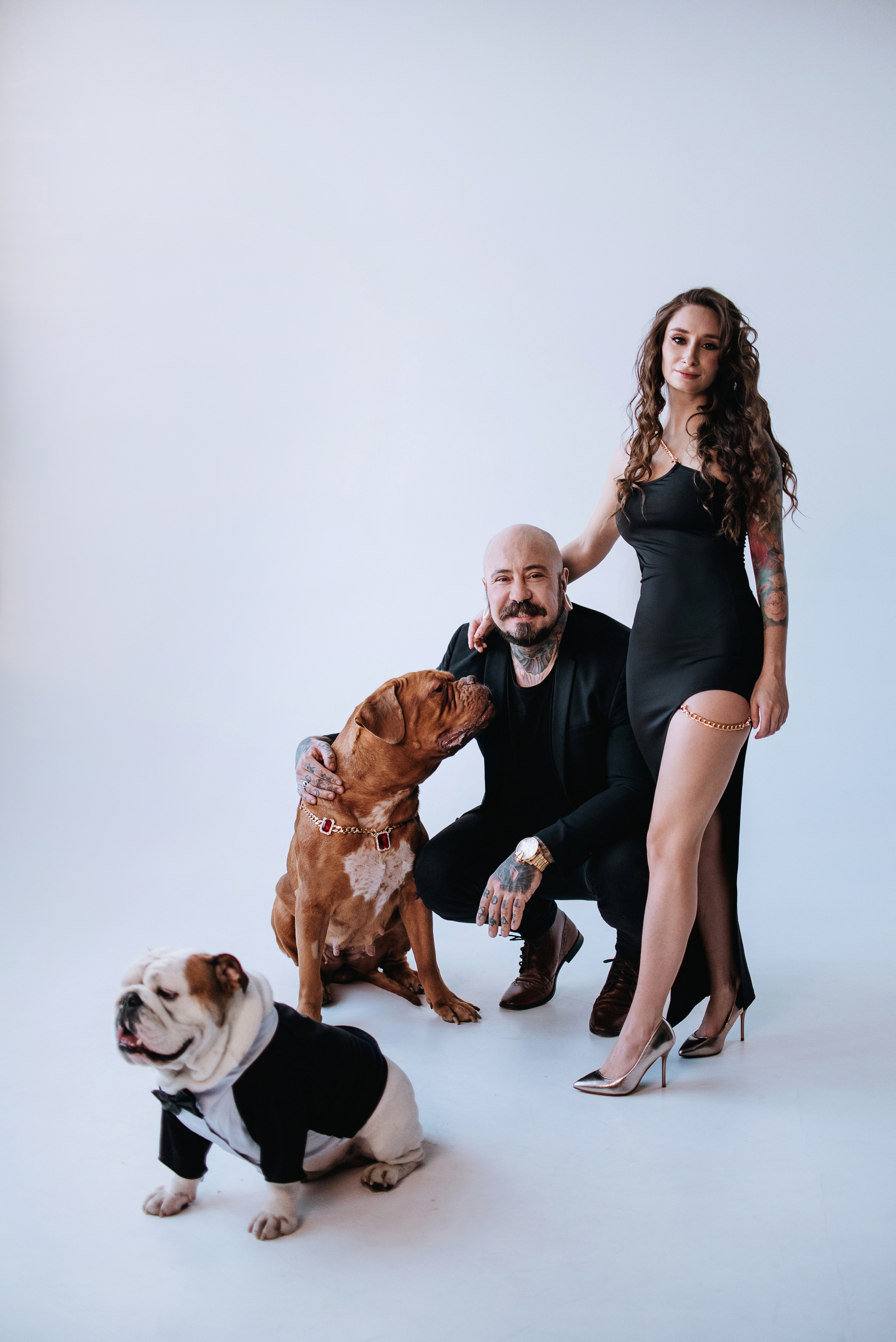 Студия: бульдог Бургер, бордосский дог Саша и Денис с Таней. Портфолио