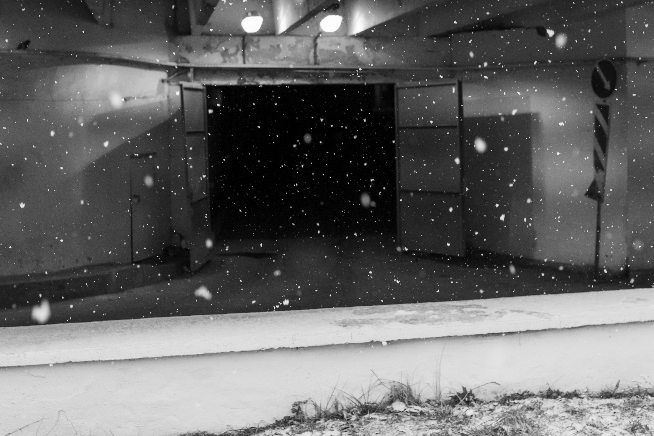 Фотографии. Главная