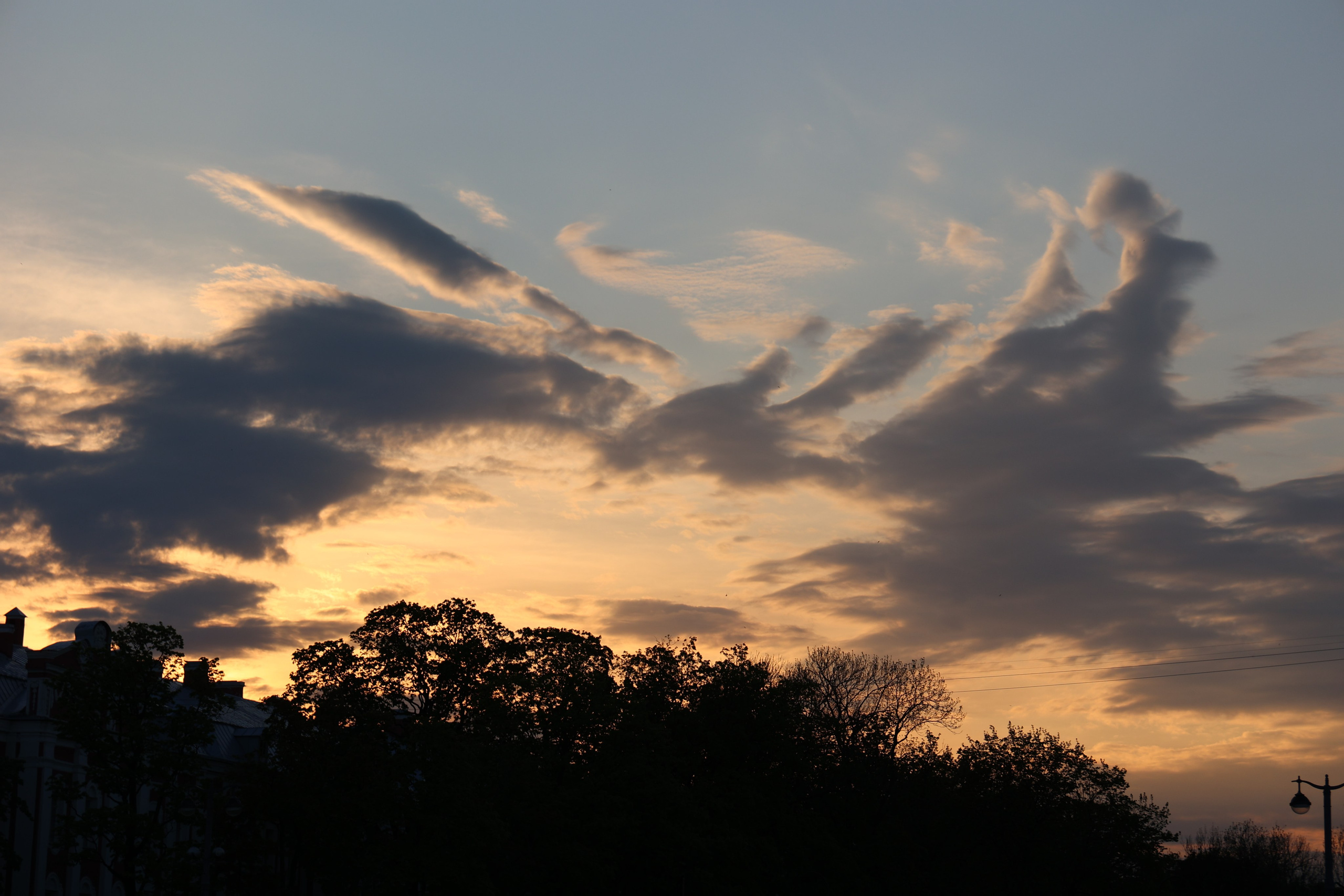 Любимое. Фотограф в Санкт-Петербурге Анна Сосновская