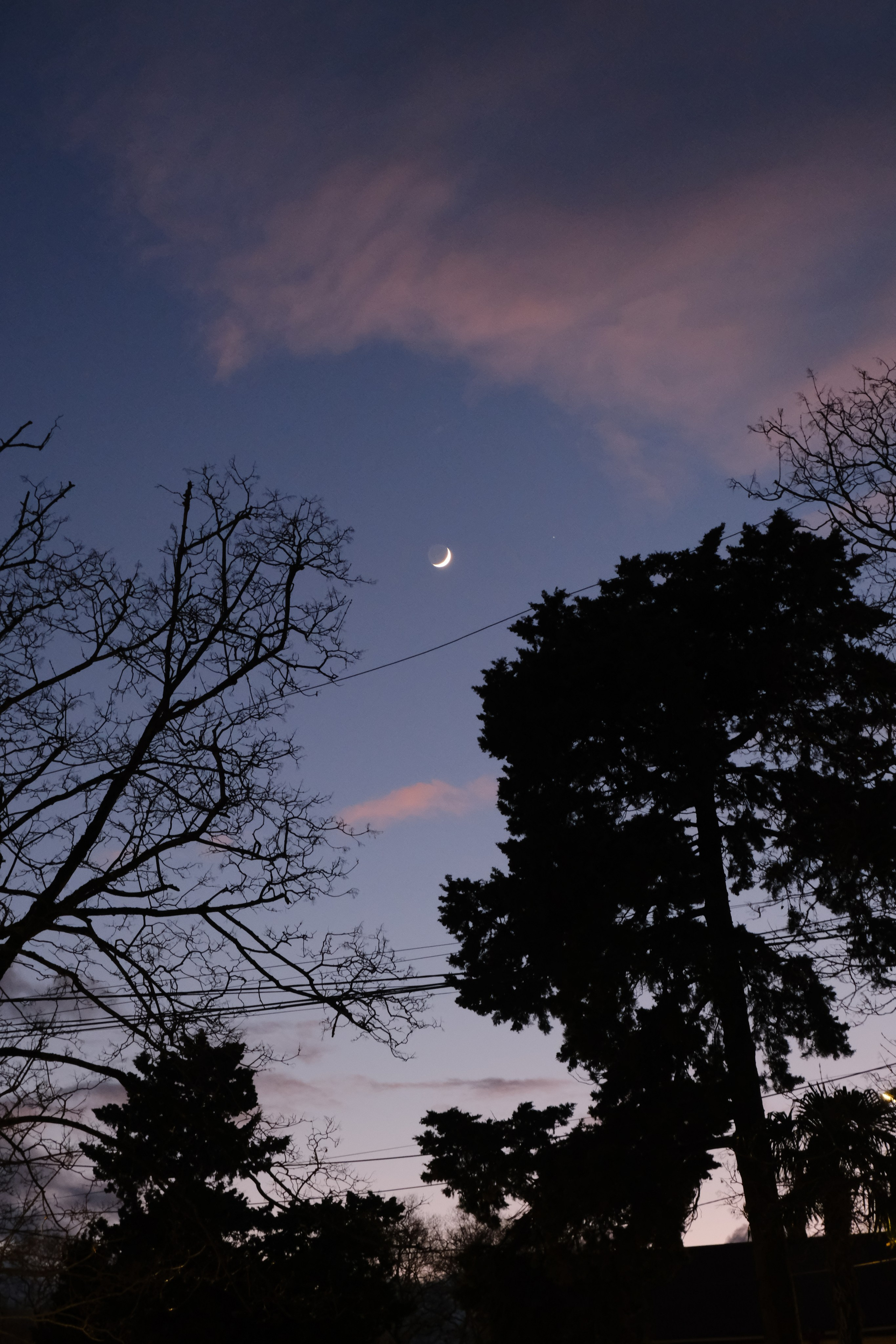 Пейзаж. Кинокадры для тебя. фотограф и стилист по прическам Анастасия Помелова