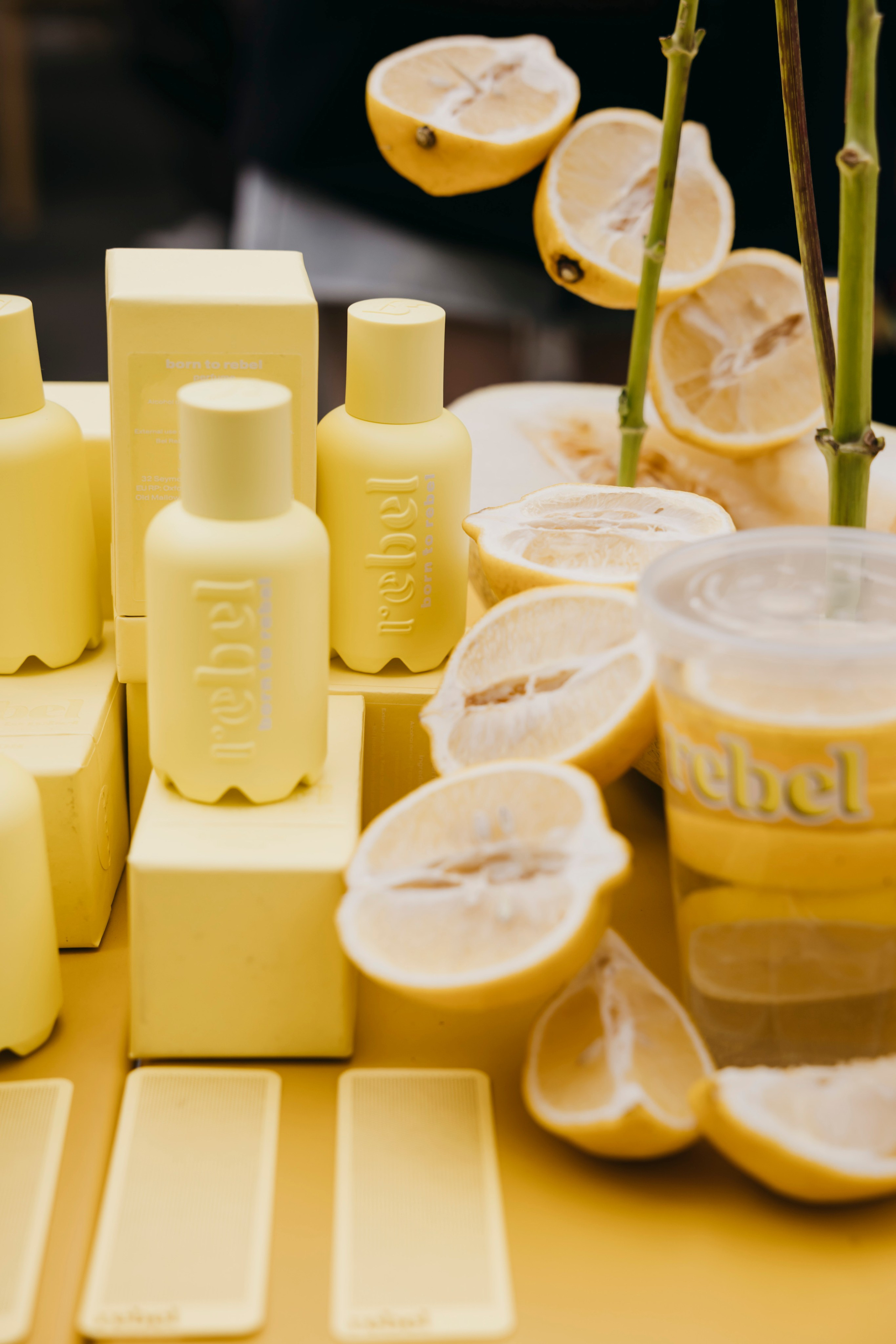 «Rebel» by «Molecule». «Птичка на проводе»: информационный портал в Москве