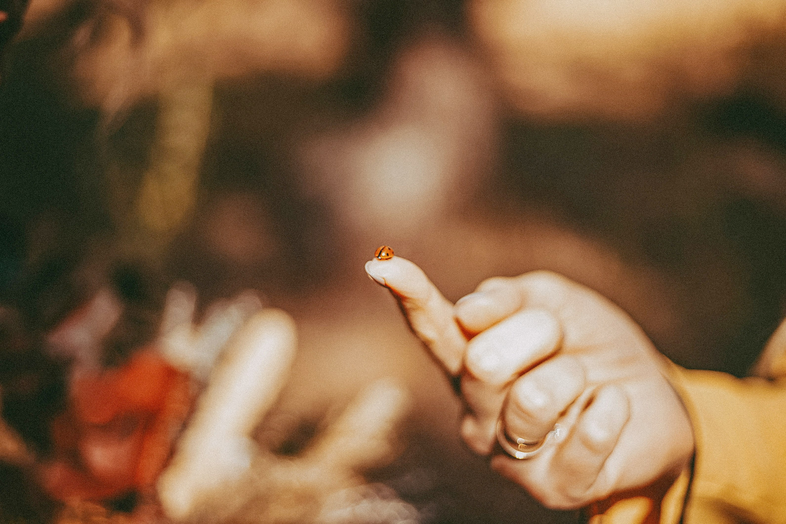 Свадебная фотосессия в парк-отеле. Фотограф в городе Самара Александр Гераськин