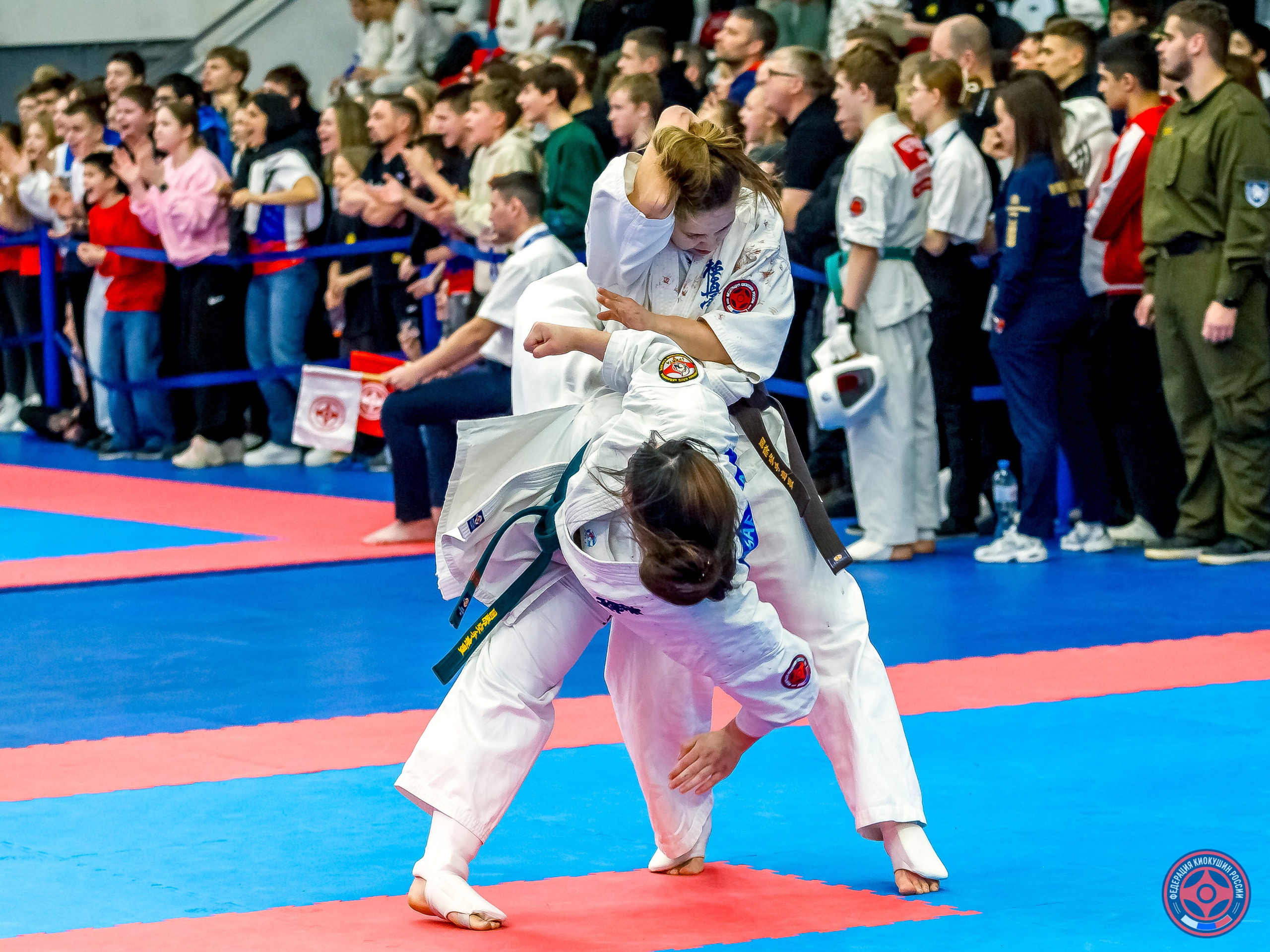 Международный турнир по киокушин «Открытый кубок Seiken». Репортажная съемка в Москве и области. Анималистика