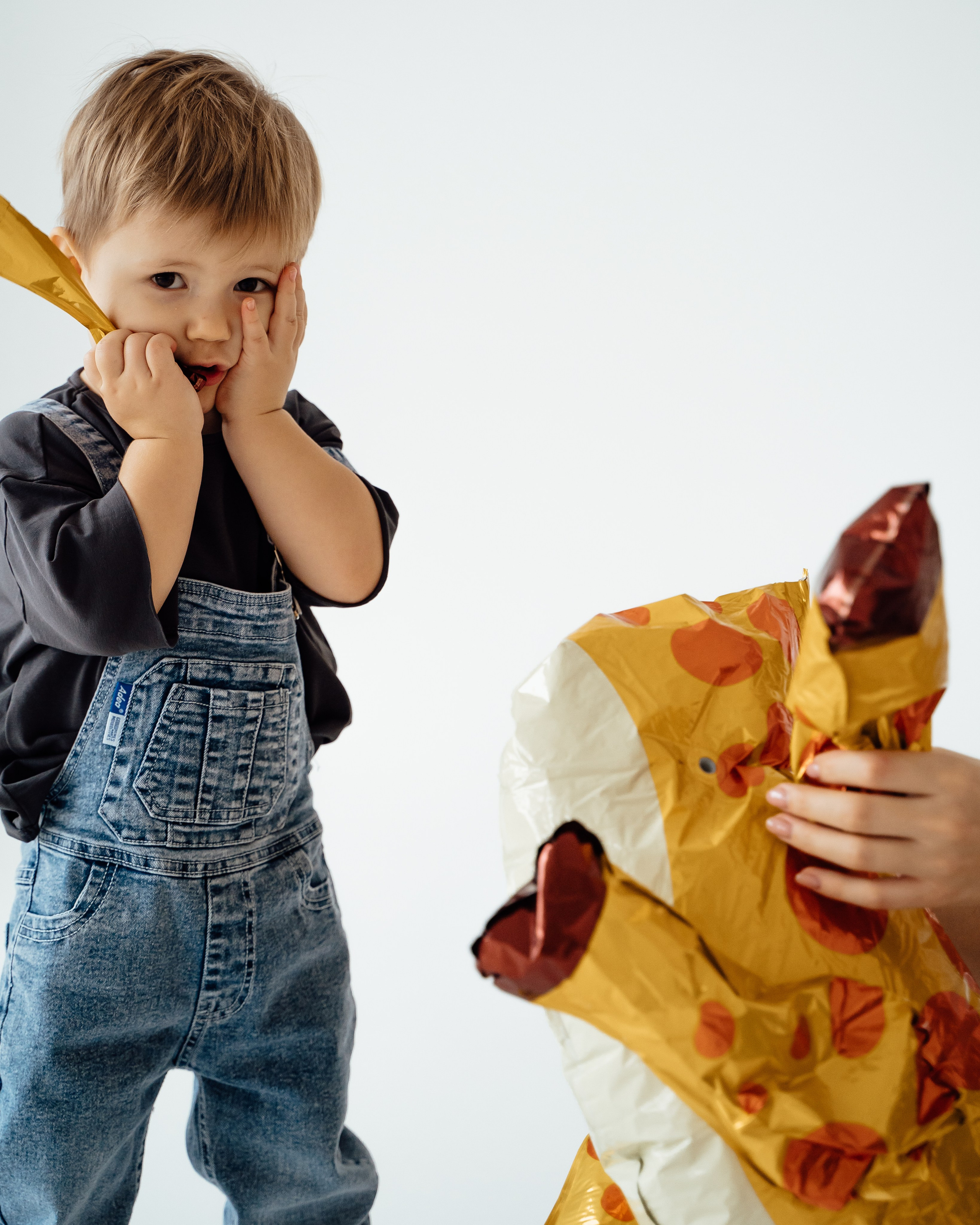 Ярослав. 2 года. Творческий фотограф взрослых и детей в Москве Анна Блифернец