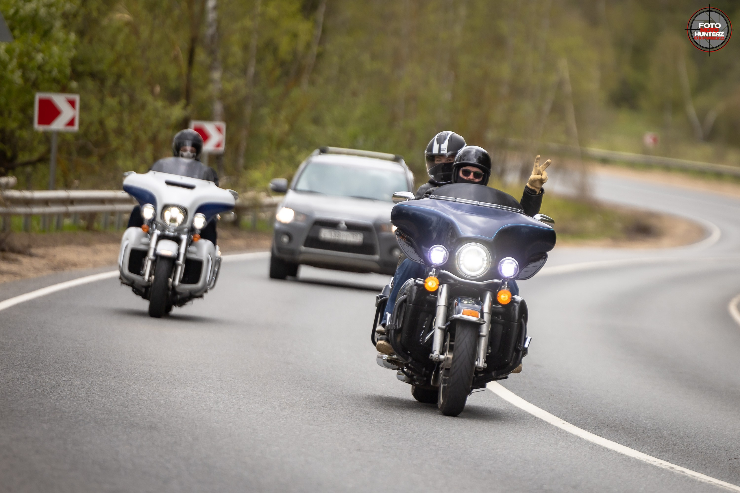 Первое Сафари в 2025 г. на Рогачевском ш. Фотограф Владимир Охрименко