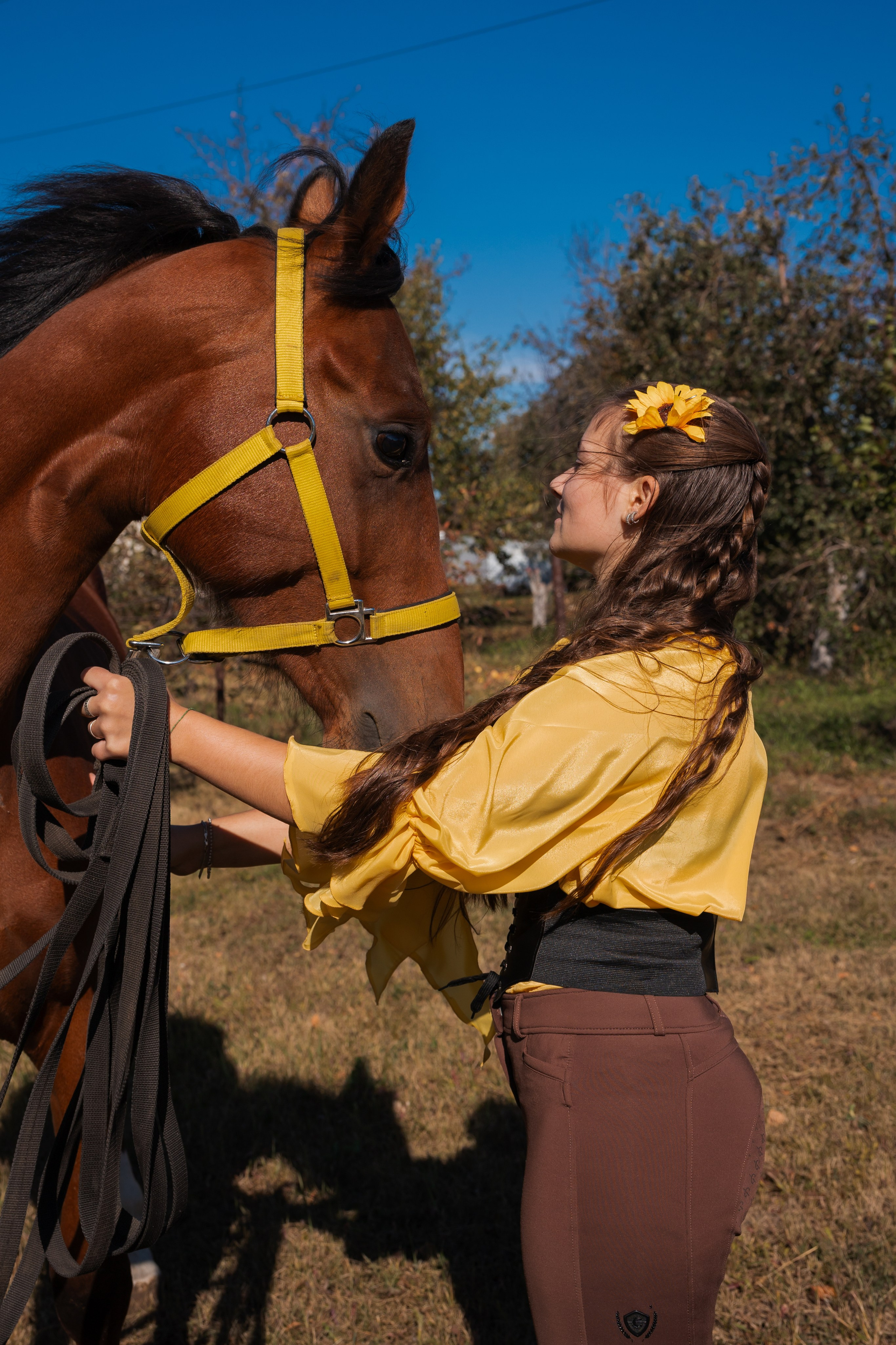 Фотосессия с лошадьми