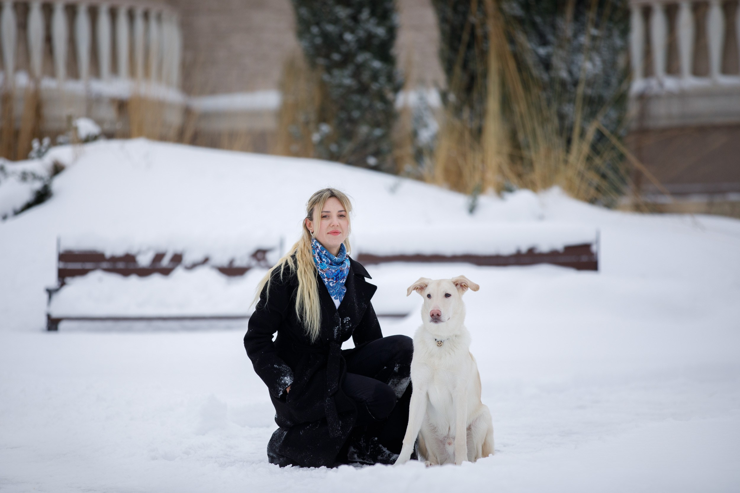 Фотопрогулка с Авророй и Амуром в Гольяново. Фотограф-анималист в Москве и Московской области Татьяна Фролова