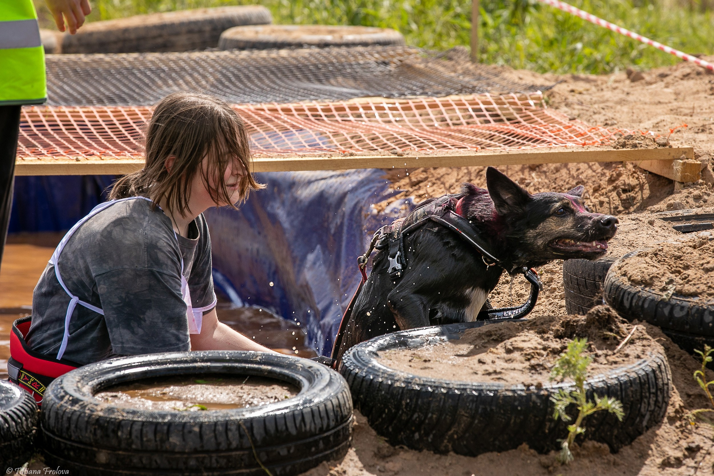 Фоторепортаж с забега с собаками. Фотограф-анималист в Москве и Московской области Татьяна Фролова