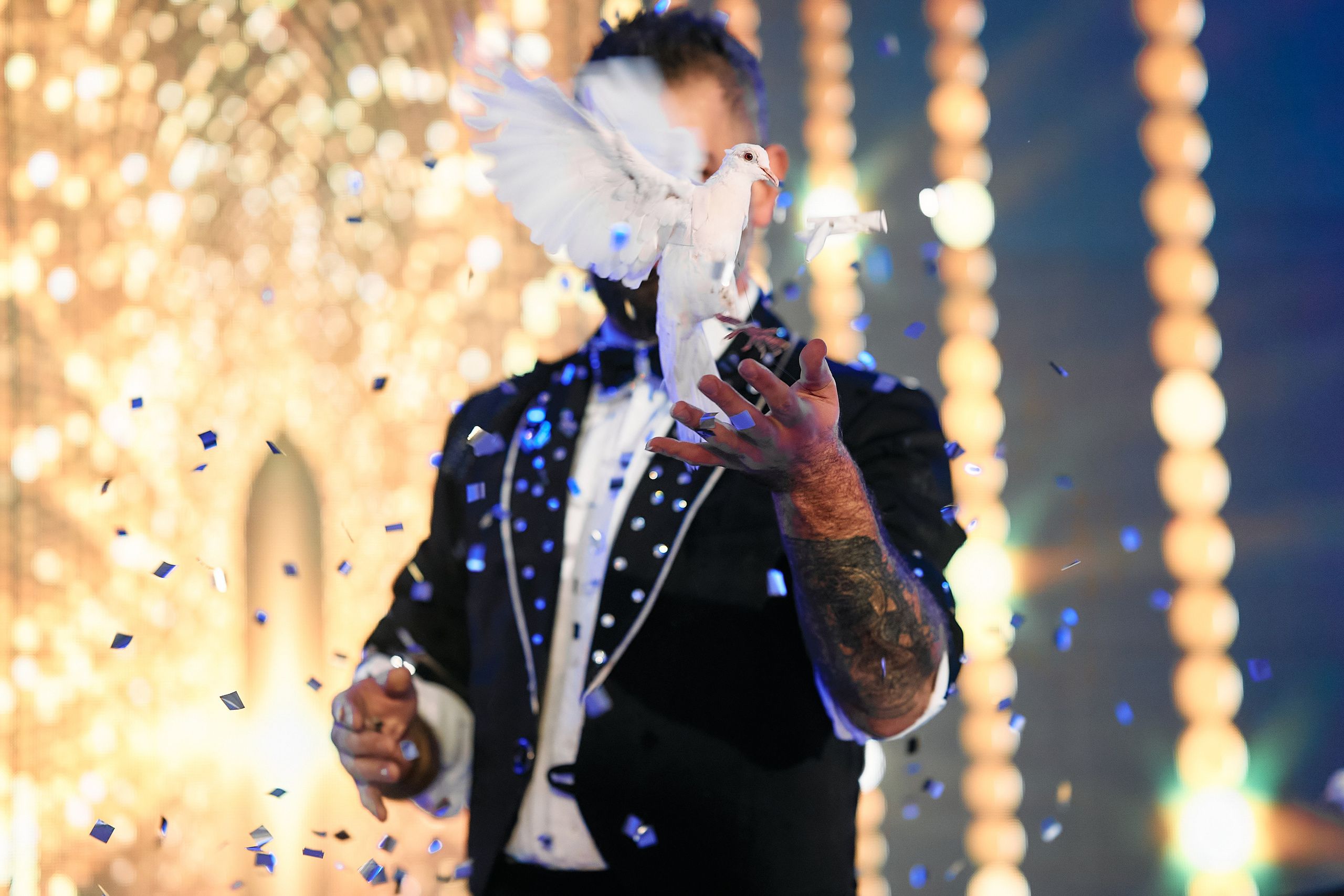 Алина и Илья. Свадебный фотограф Минск РБ