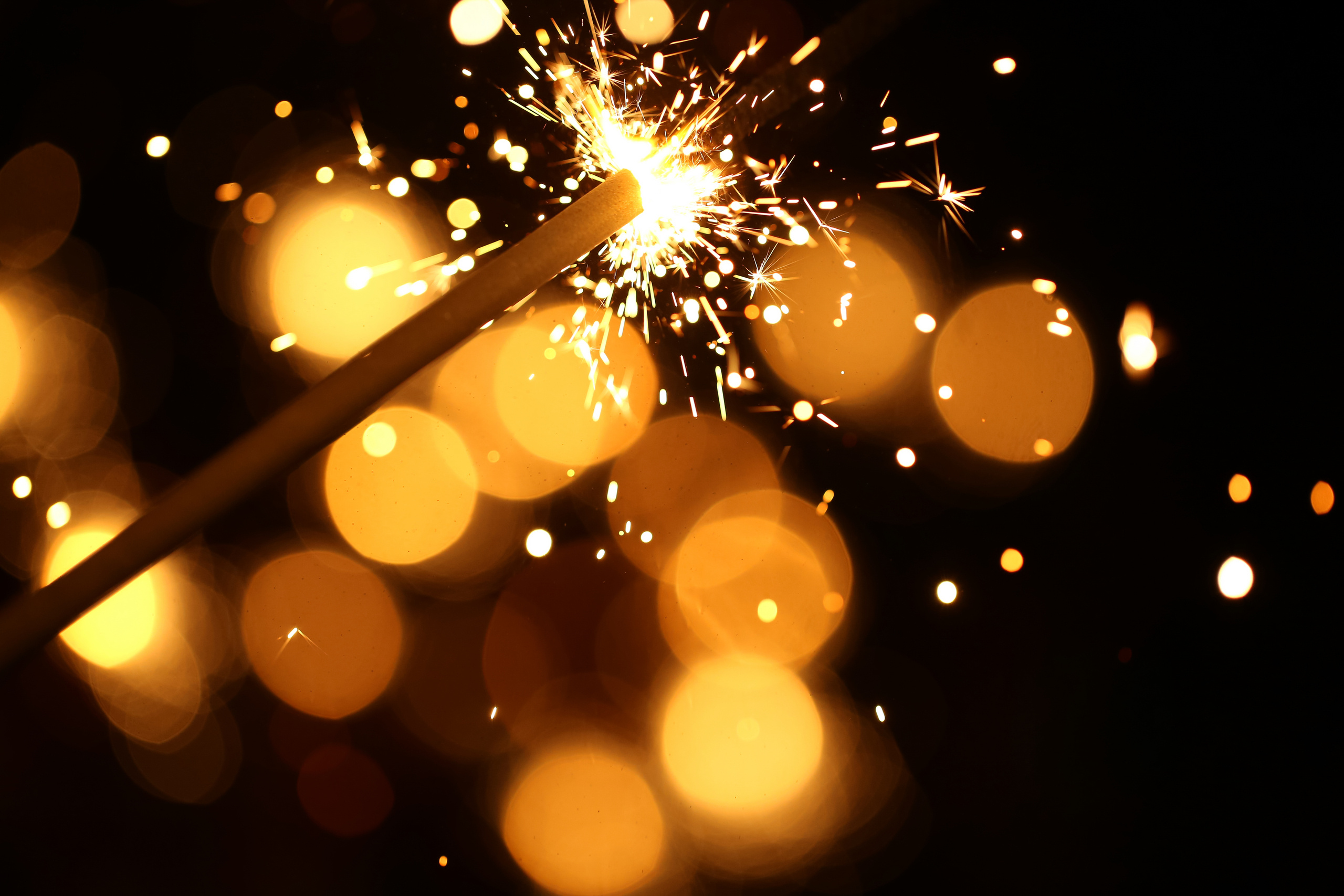 Свадебный фотограф в Воронеже Александр Пенкин