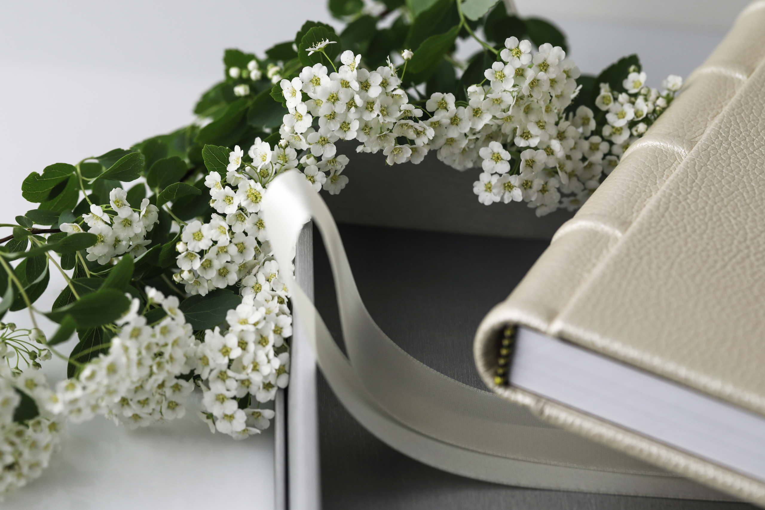 Фотокниги в Воронеже. Изготовление и доставка курьером. Свадебный фотограф в Воронеже Александр Пенкин