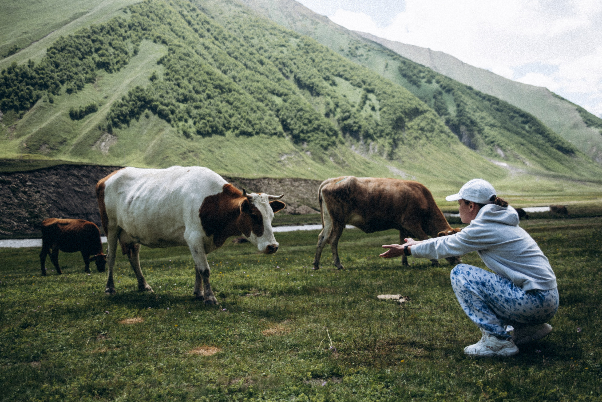 Долина Трусо, Грузия🇬🇪«Honey Trip». Anita_photo