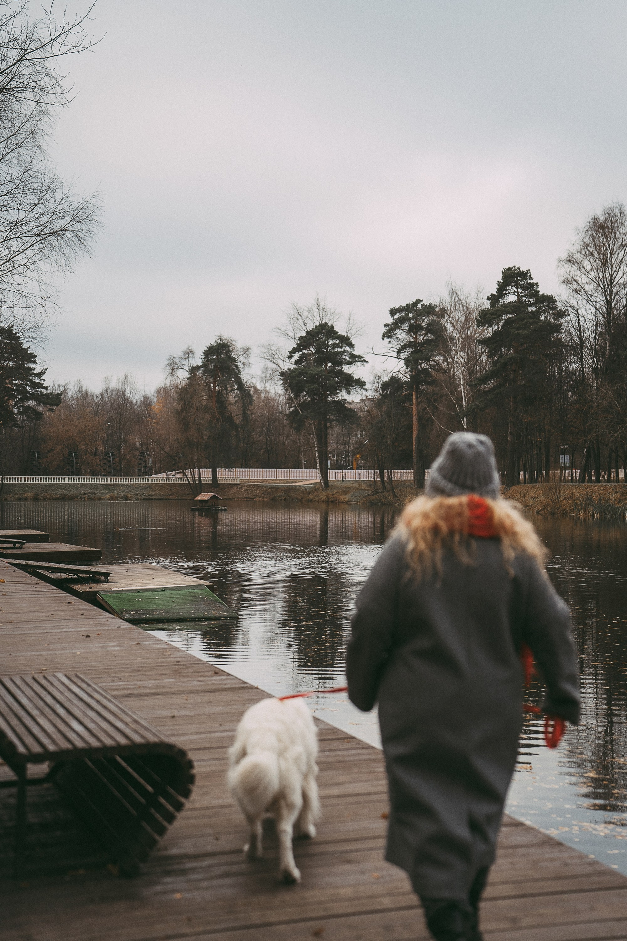 Лена и Мерлин. Фотограф анималист в Москве и Санкт-Петербурге Свиридова Анна