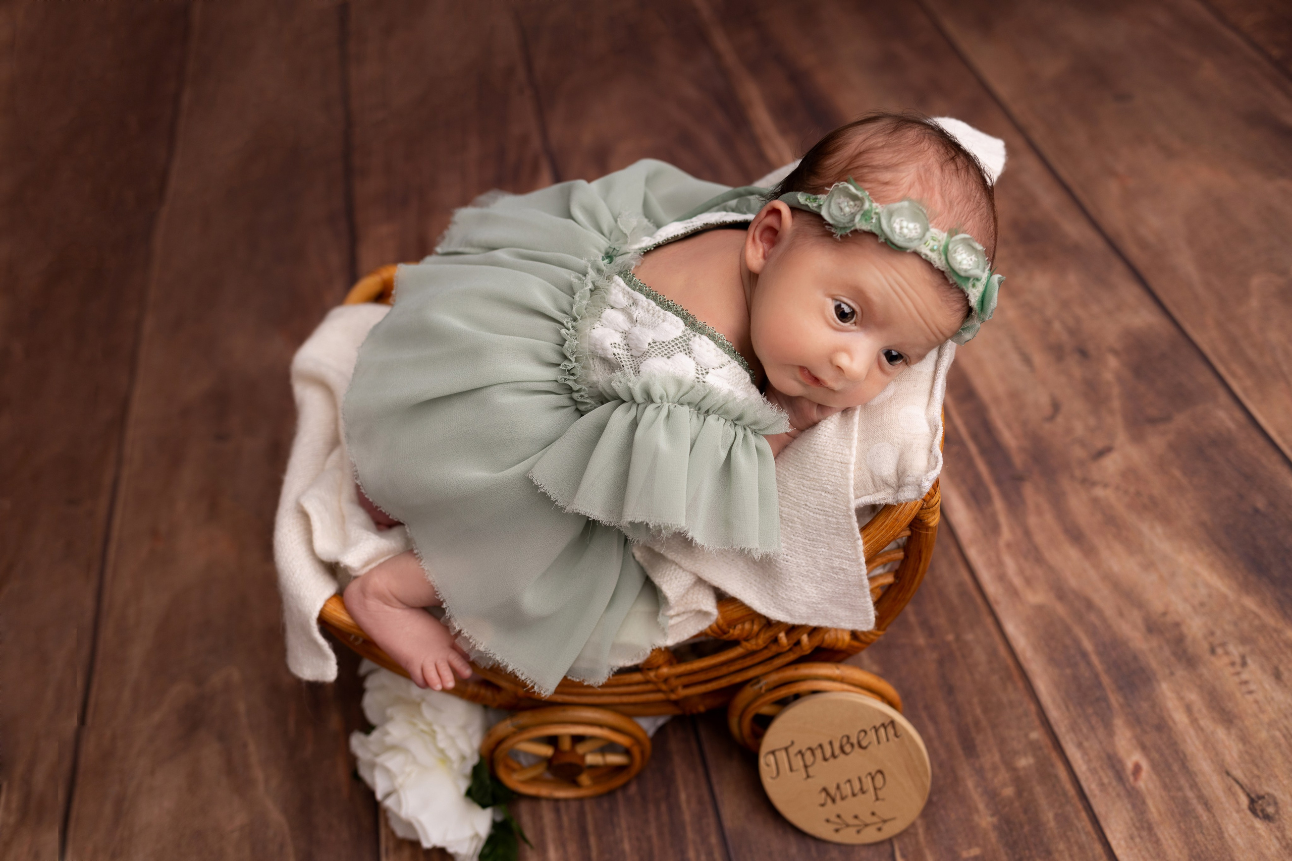 Классическая фотосессия малыша. Фотограф новорожденных малышей в Омске и Омской области Эльвира Камаева